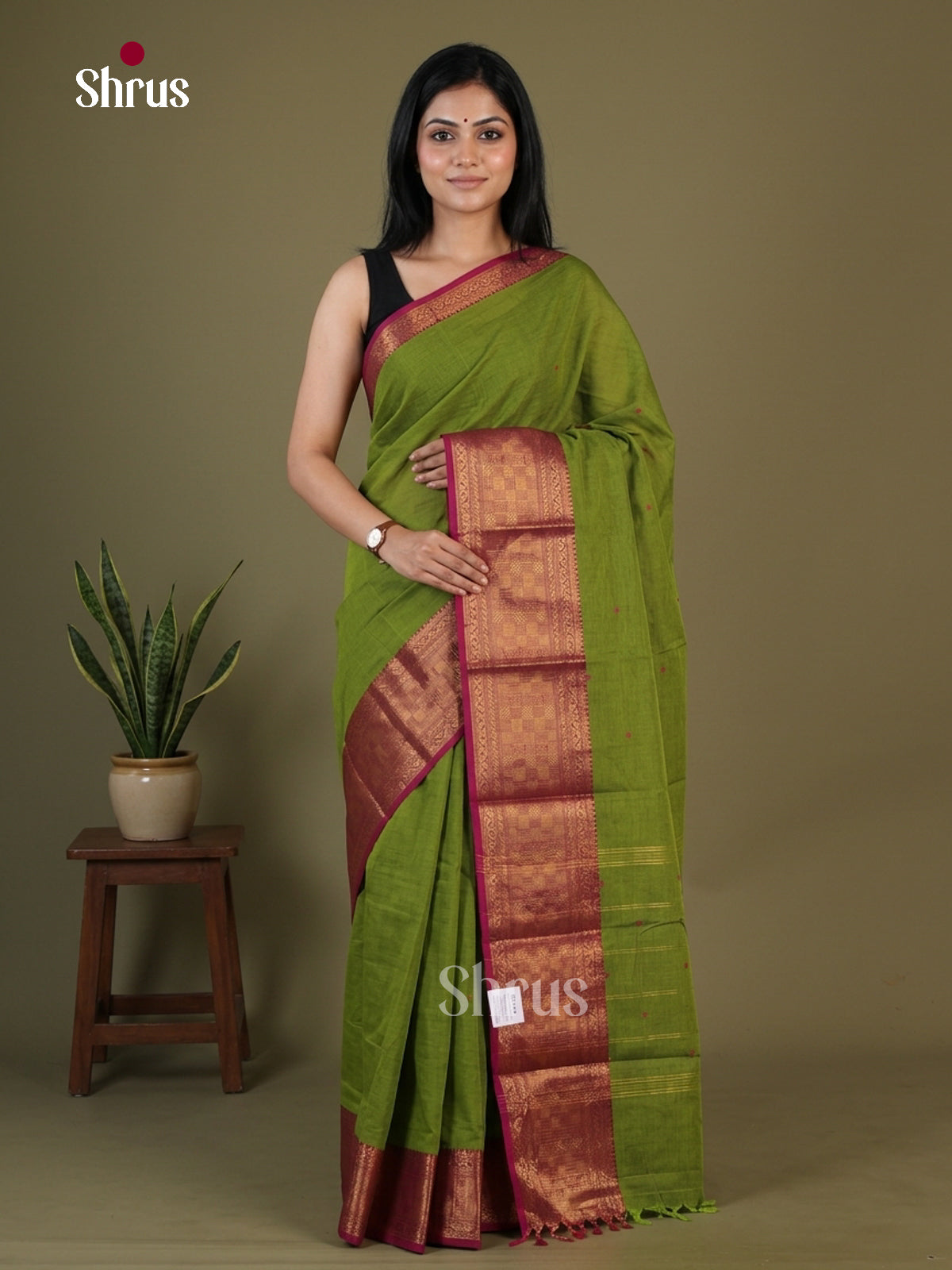 Chettinad Cotton Saree - EGS03380