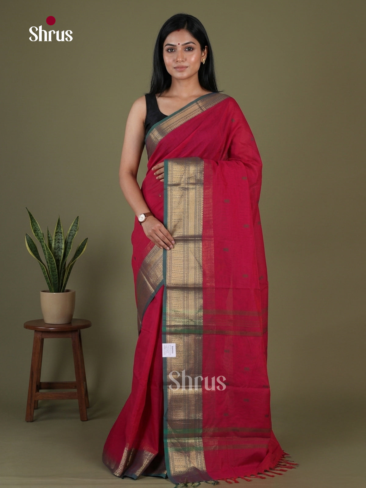 Chettinad Cotton Saree - EGS03384