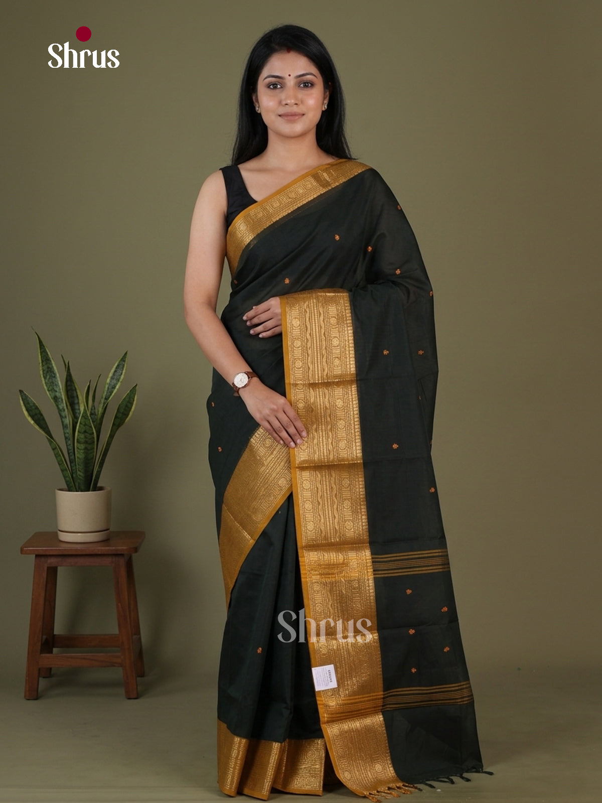 Chettinad Cotton Saree - EGS03387