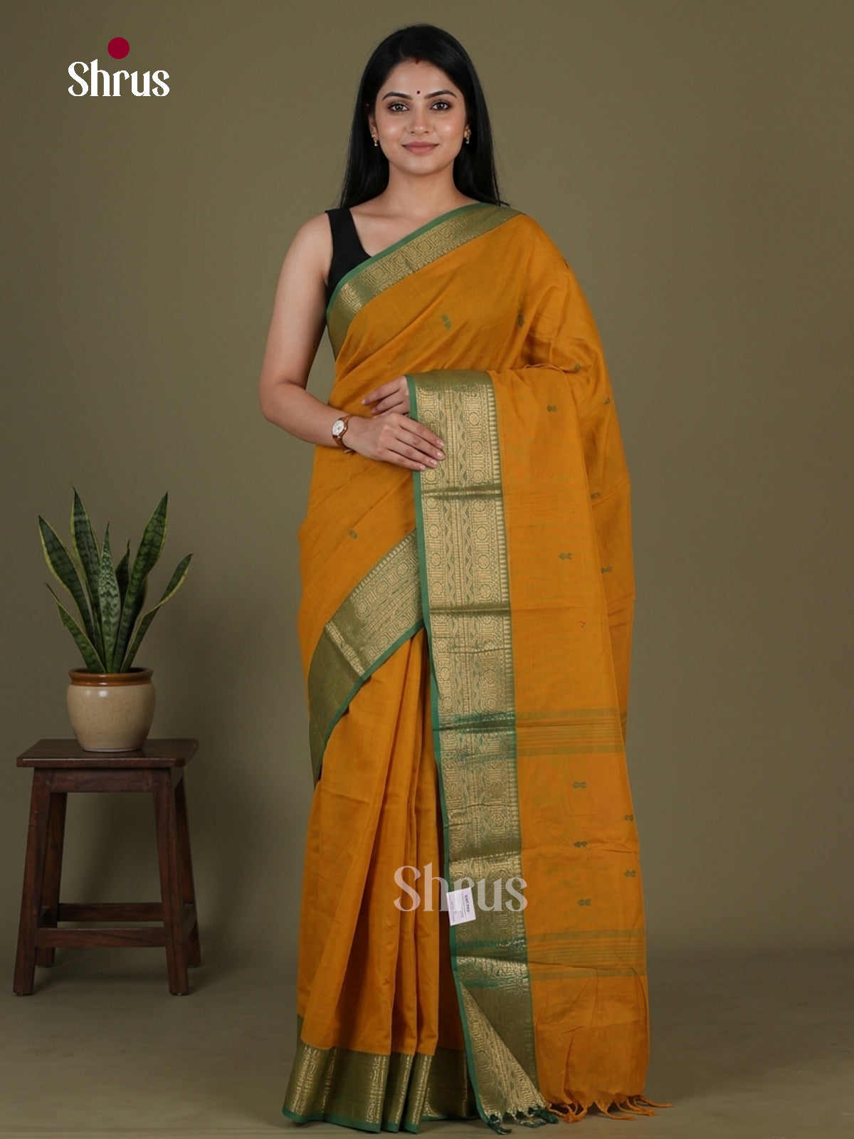 Chettinad Cotton Saree - EGS03388