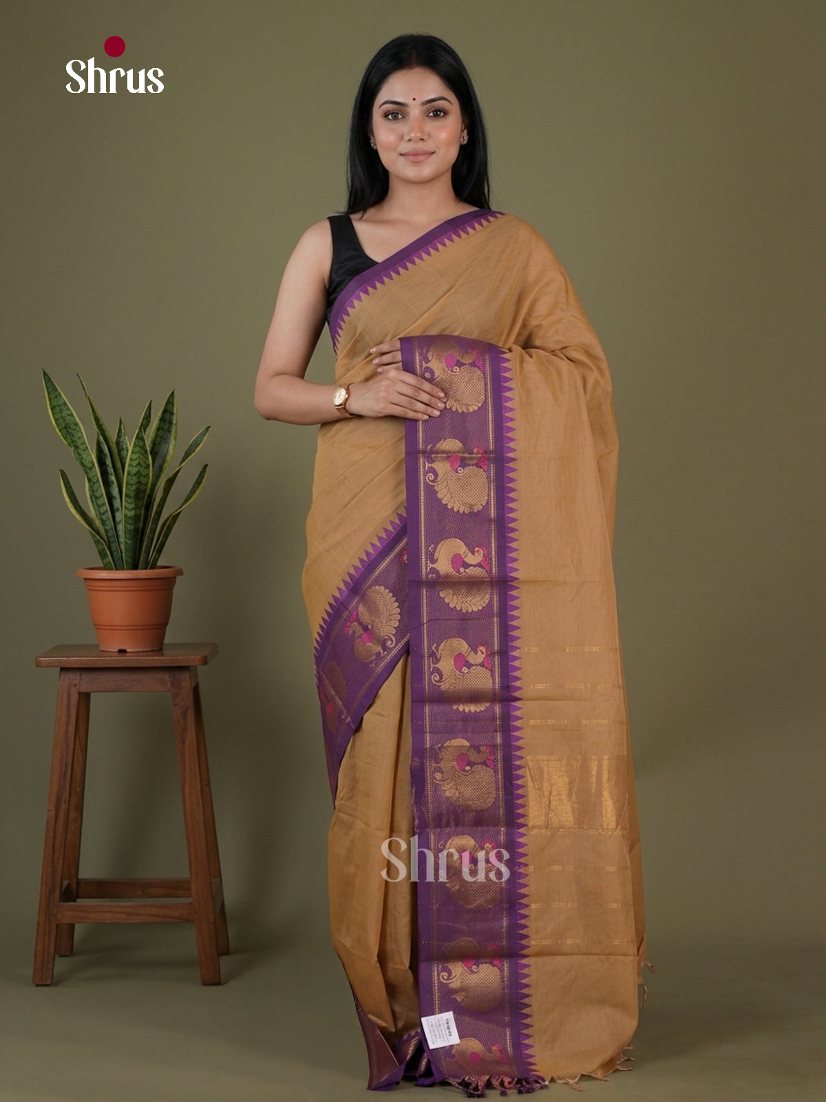 Chettinad Cotton Saree - EGS03397