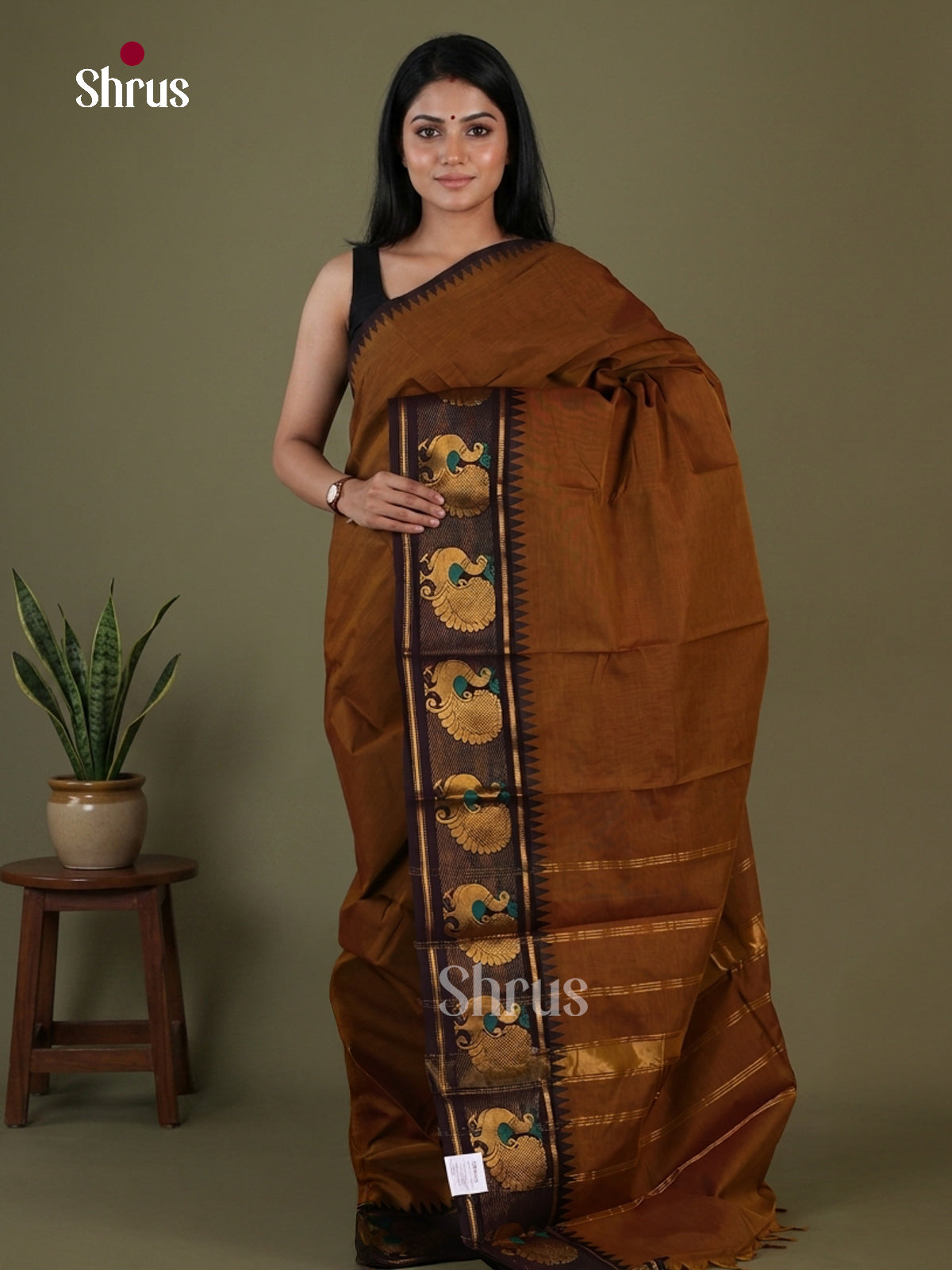 Chettinad Cotton Saree - EGS03398