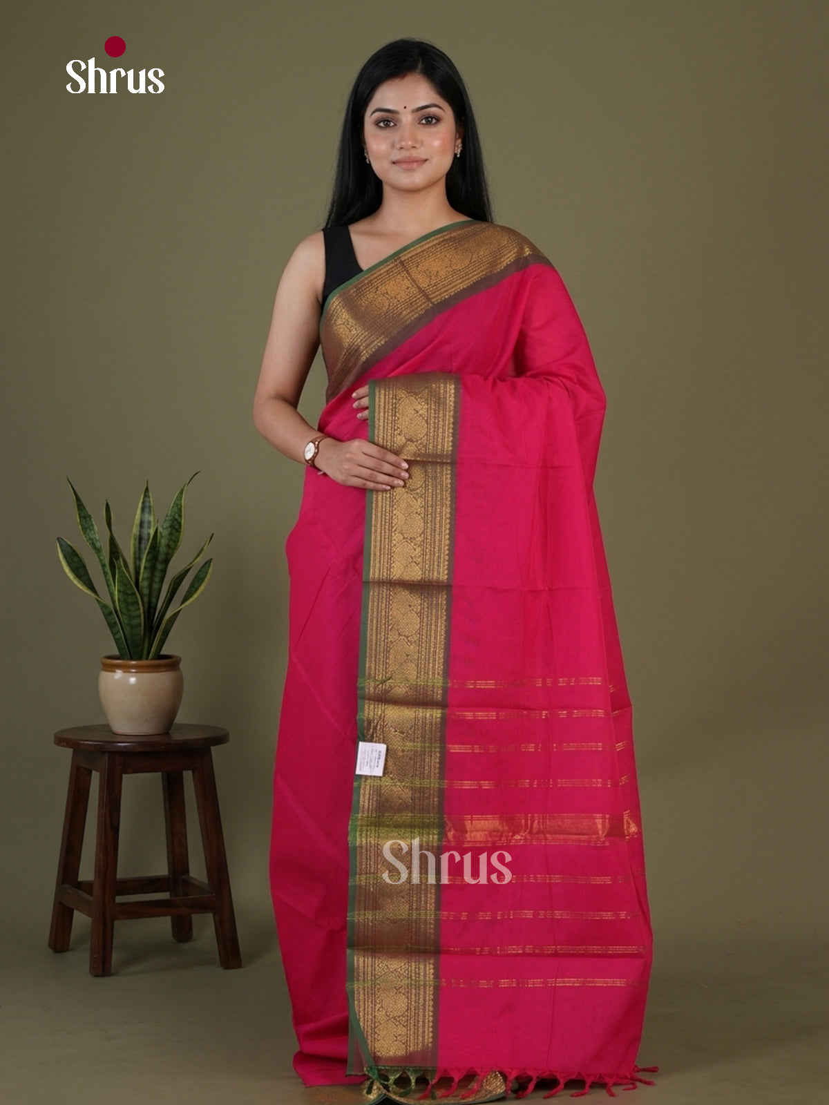 Chettinad Cotton Saree - EGS03401