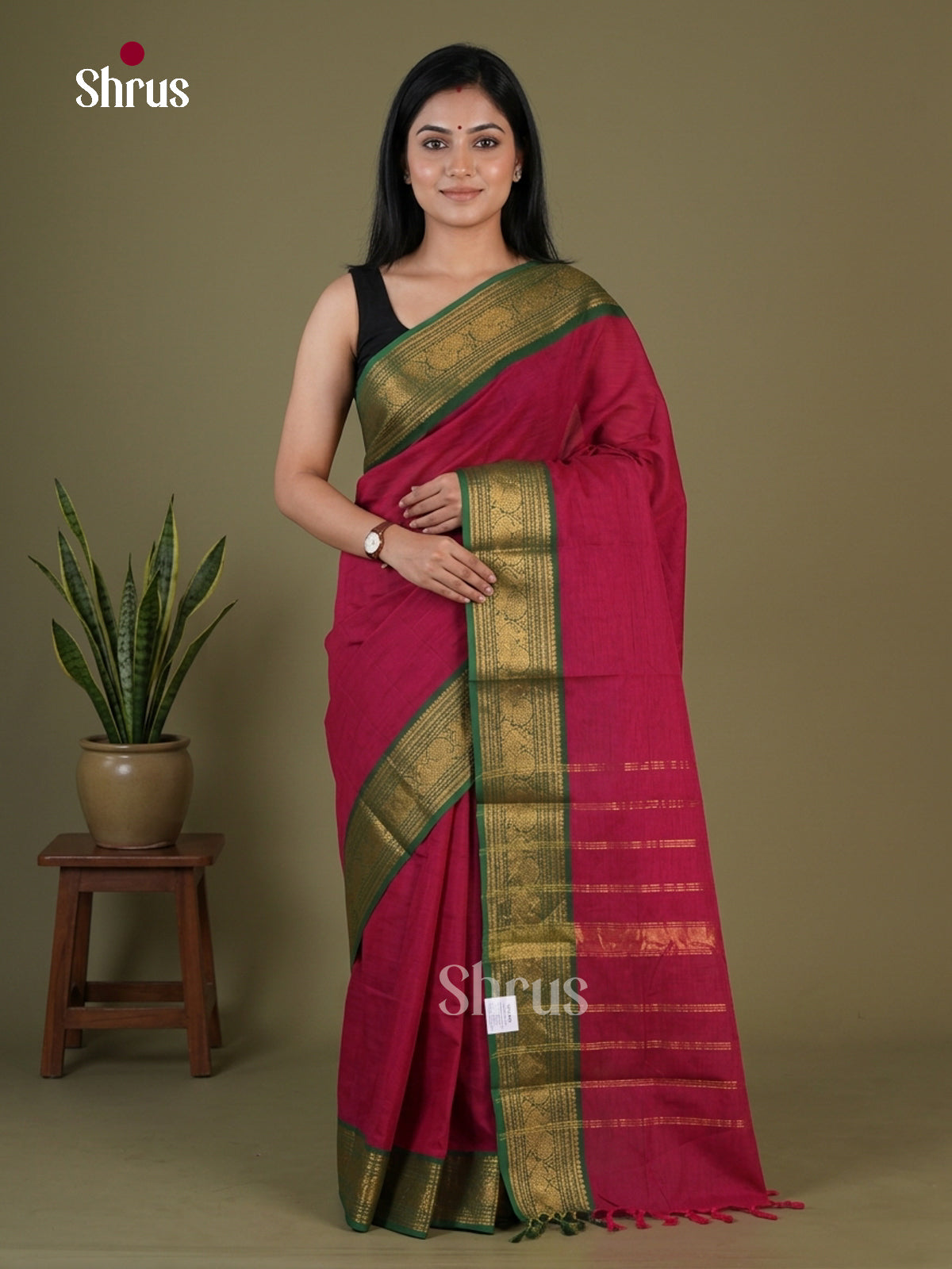Chettinad Cotton Saree - EGS03402