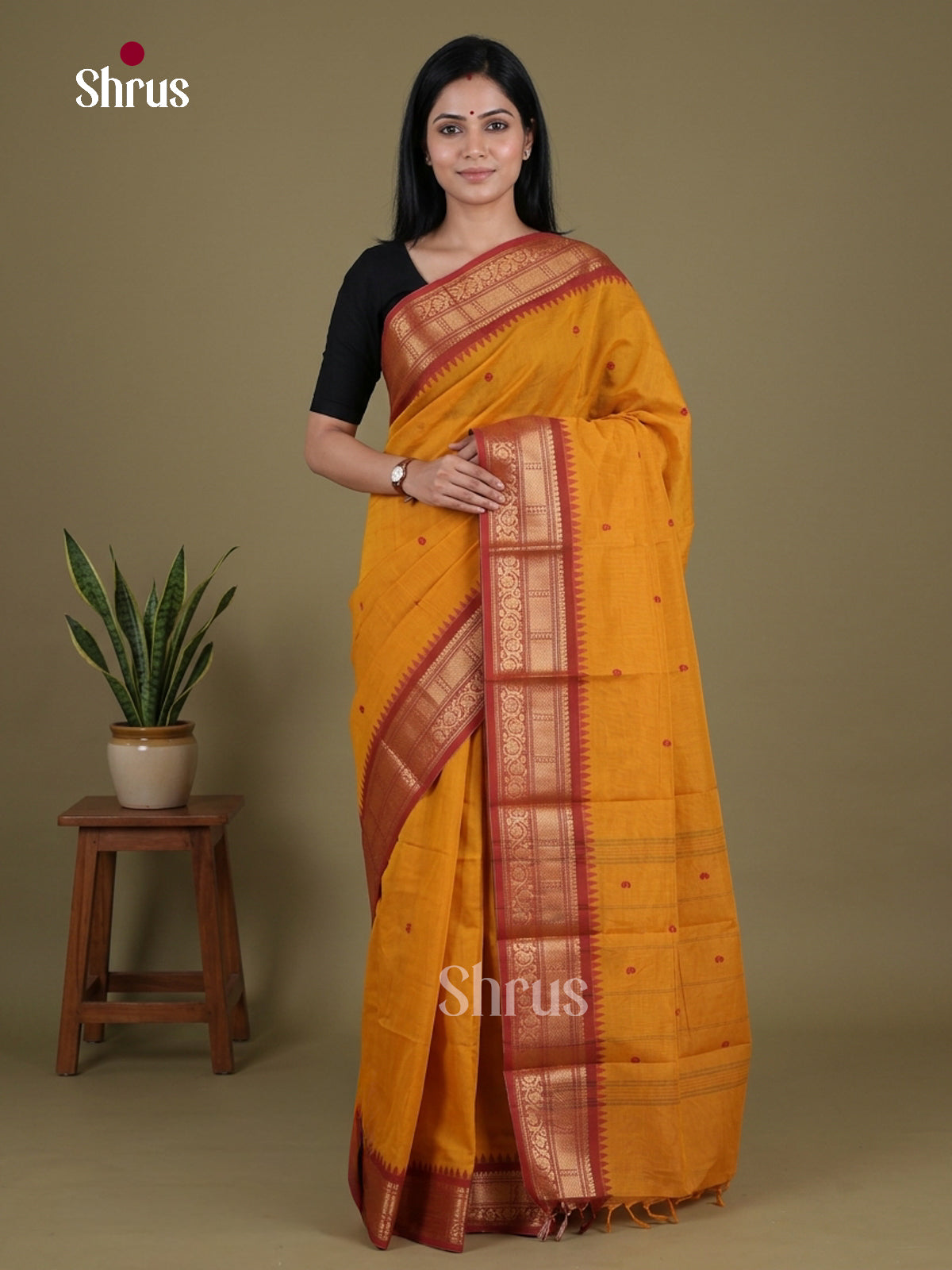 Chettinad Cotton Saree - EGS03407