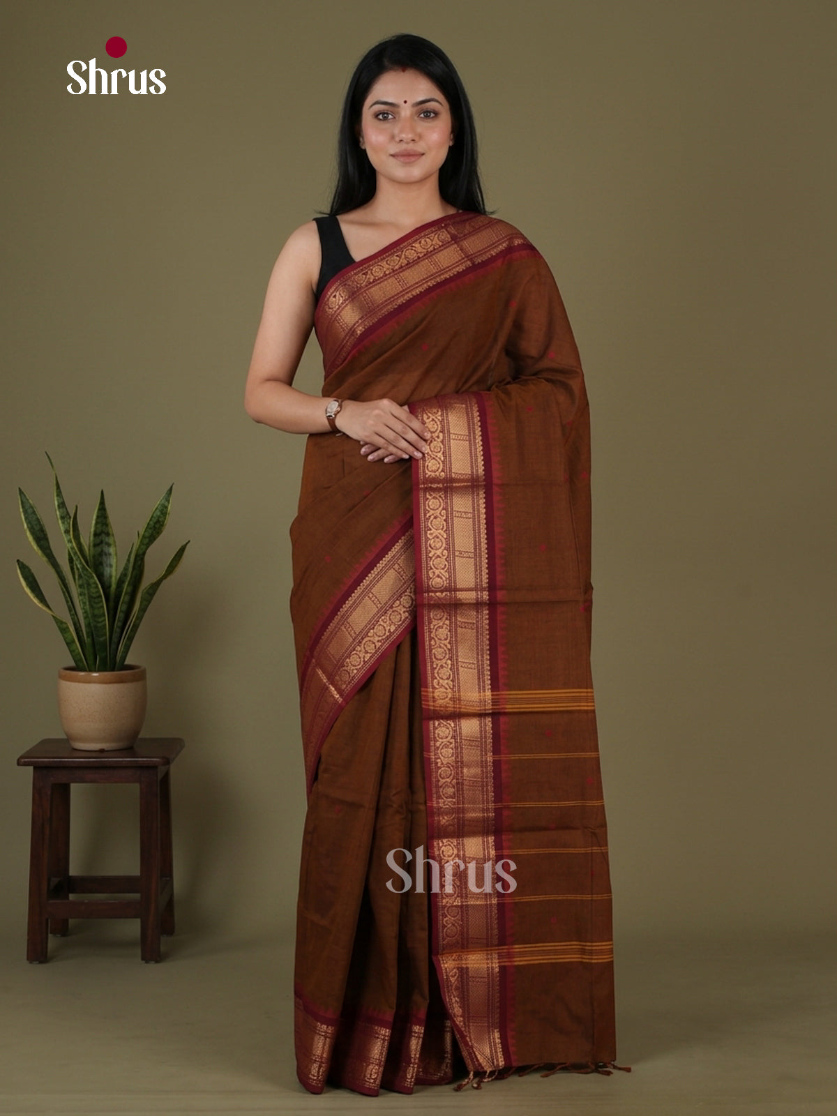 Chettinad Cotton Saree - EGS03408