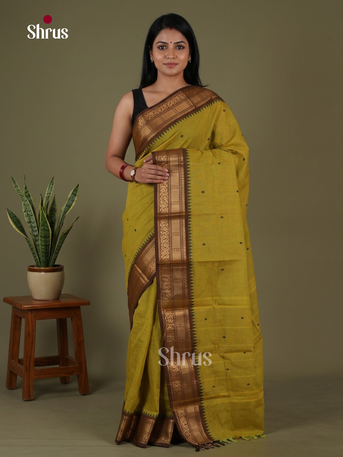 Chettinad Cotton Saree - EGS03409