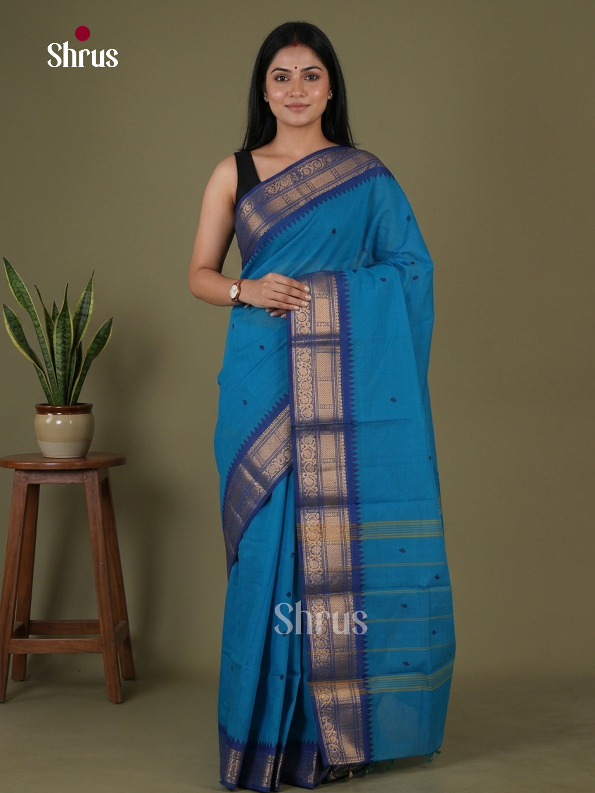Chettinad Cotton Saree - EGS03410