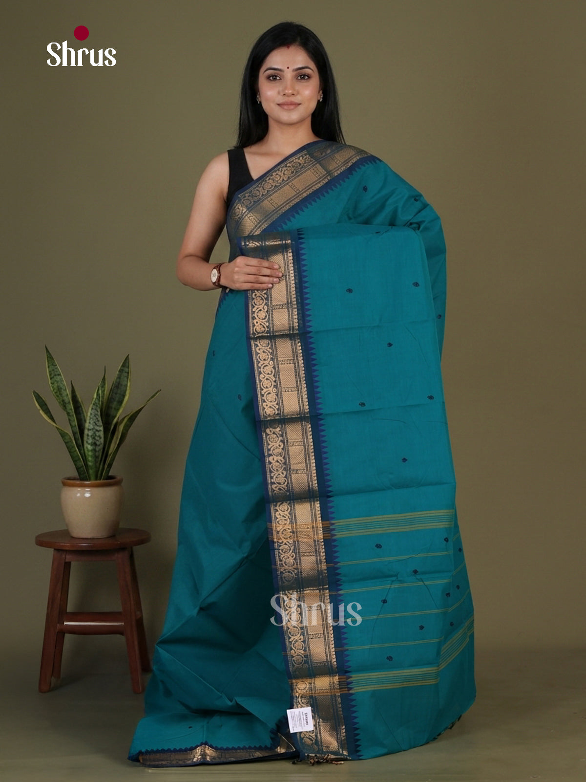 Chettinad Cotton Saree - EGS03411