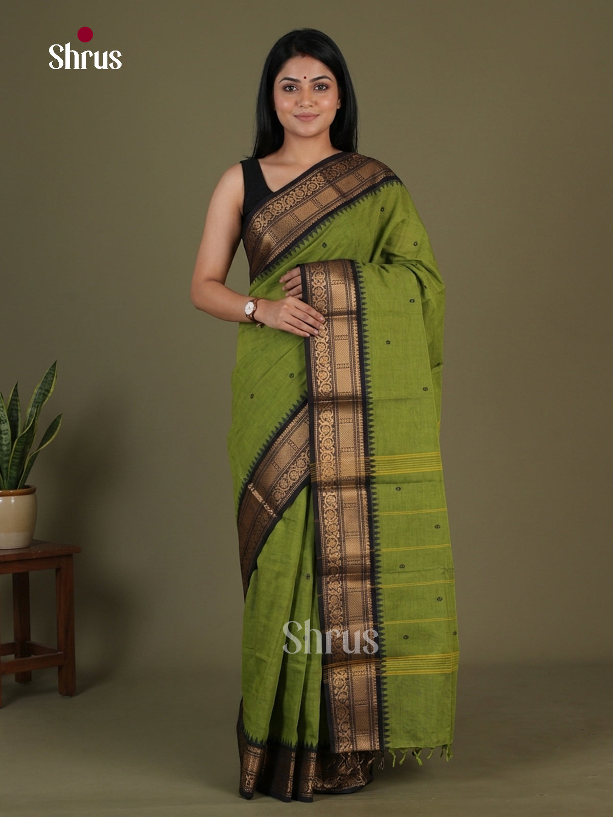 Chettinad Cotton Saree - EGS03412