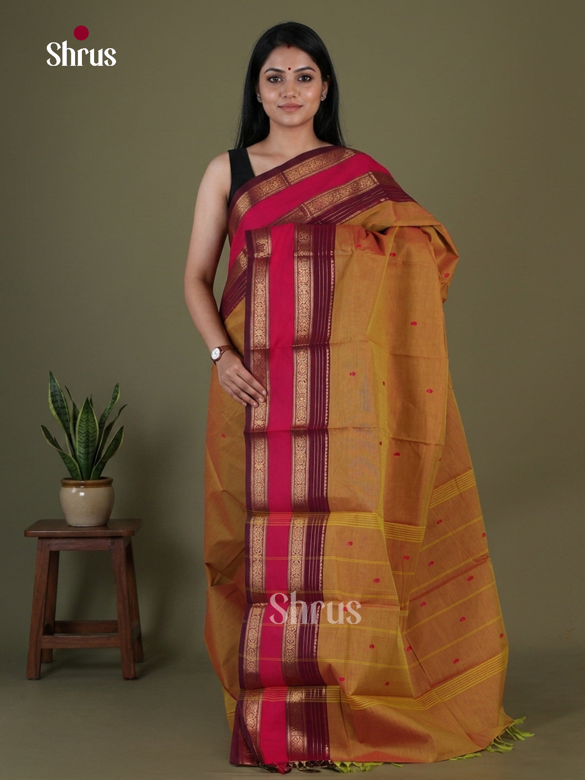 Chettinad Cotton Saree - EGS03424