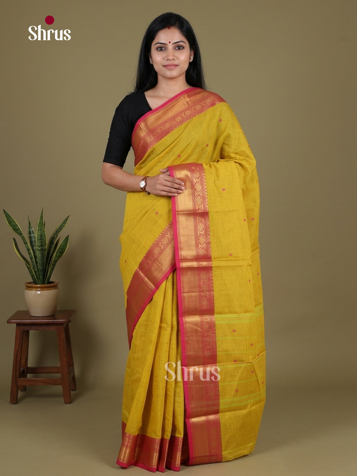Chettinad Cotton Saree - EGS03426