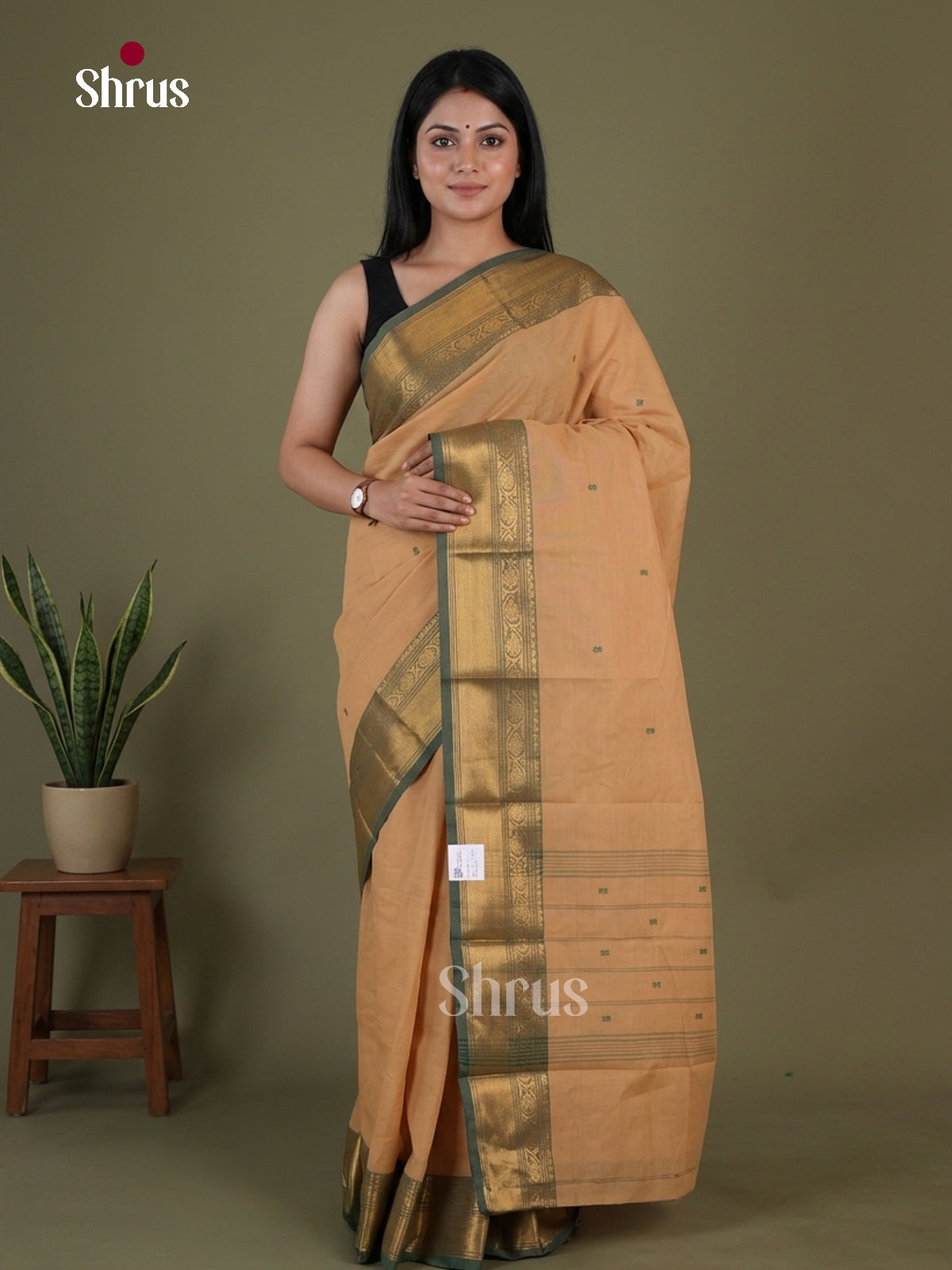 Chettinad Cotton Saree - EGS03432