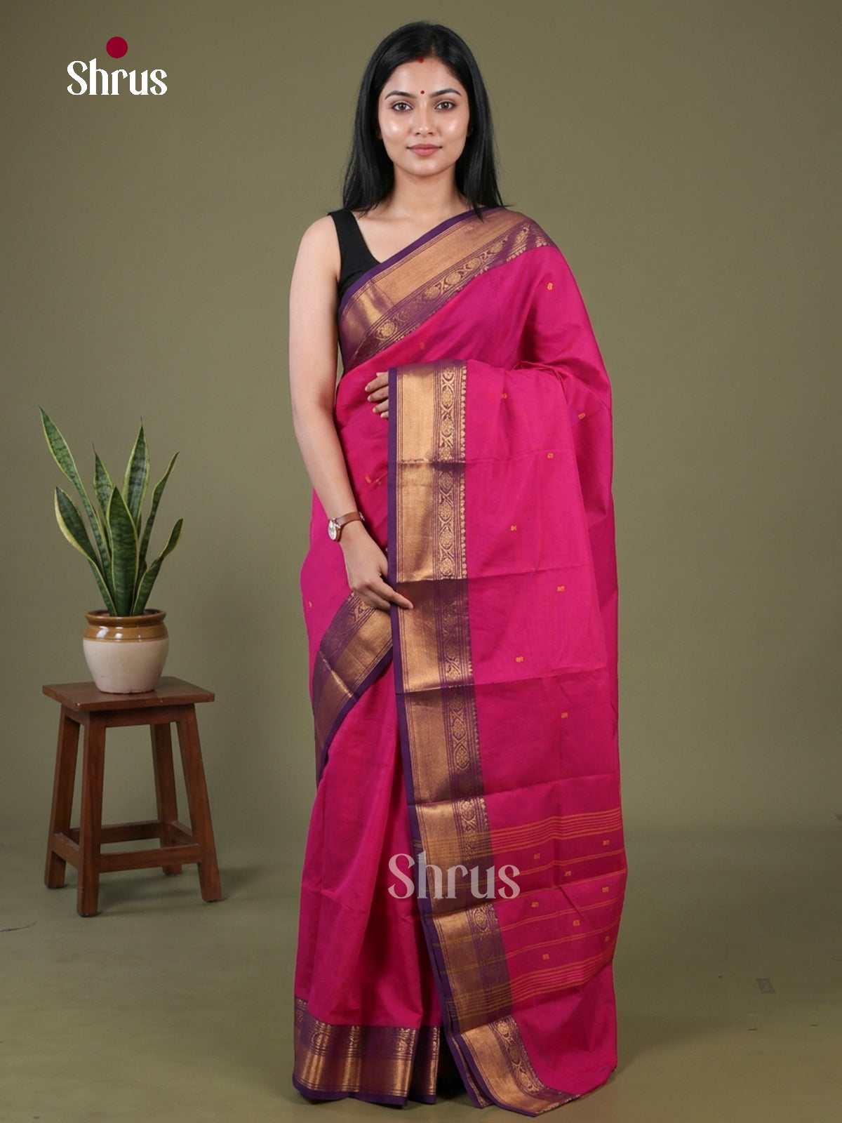 Chettinad Cotton Saree - EGS03434