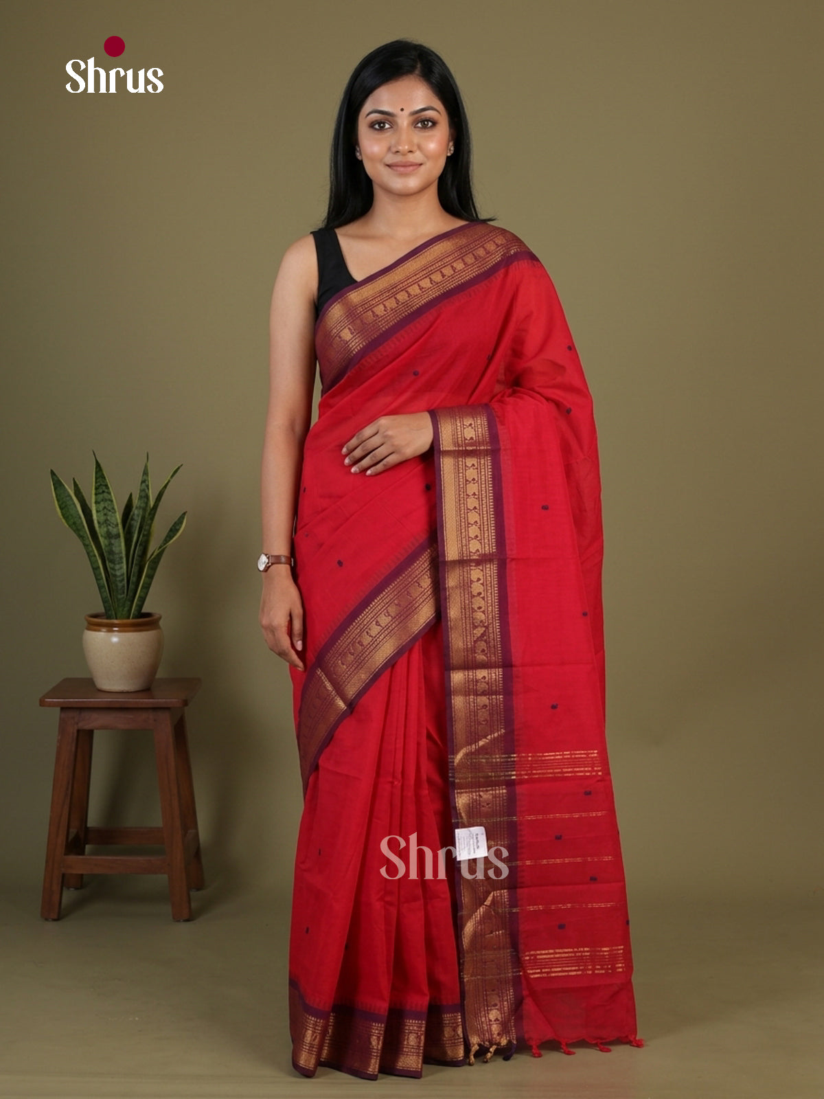 Chettinad Cotton Saree - EGS04003