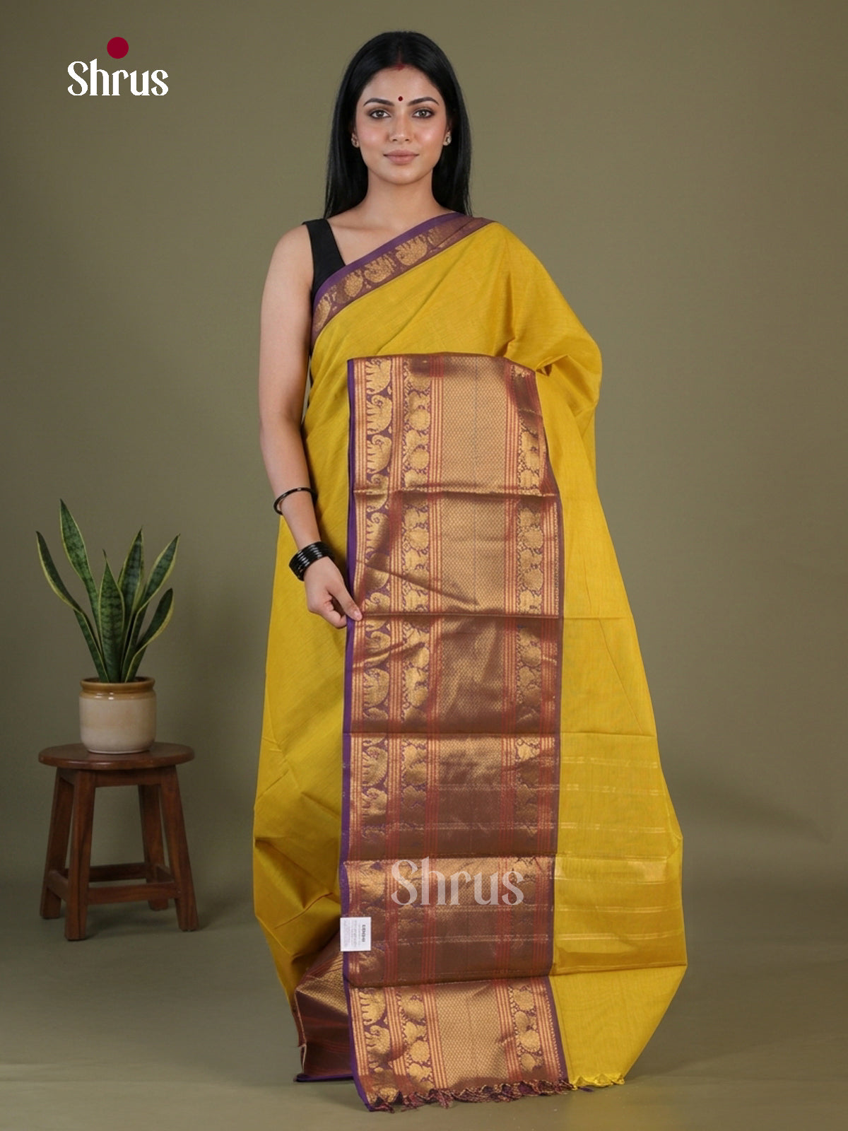 Narayanpet Cotton Saree - EGS04024