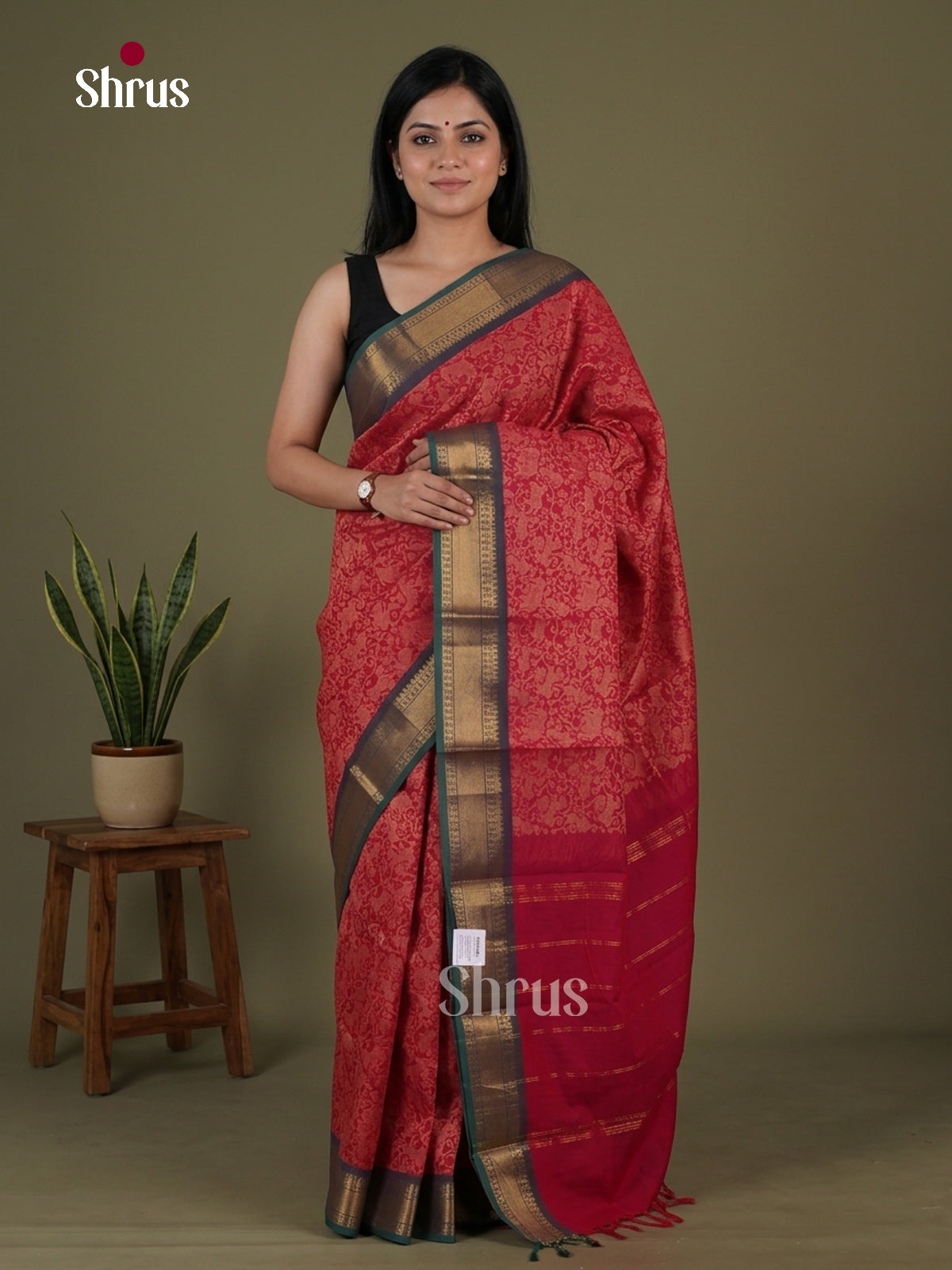 Kanchi Cotton Saree - EGS04026