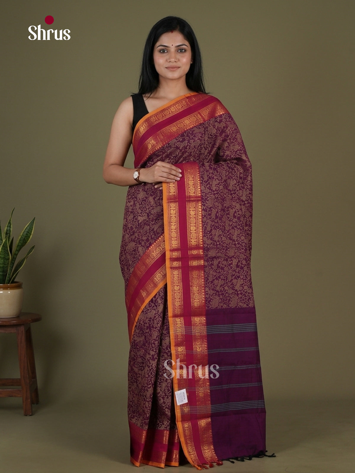 Kanchi Cotton Saree - EGS06015 - Shop on Shrus.com