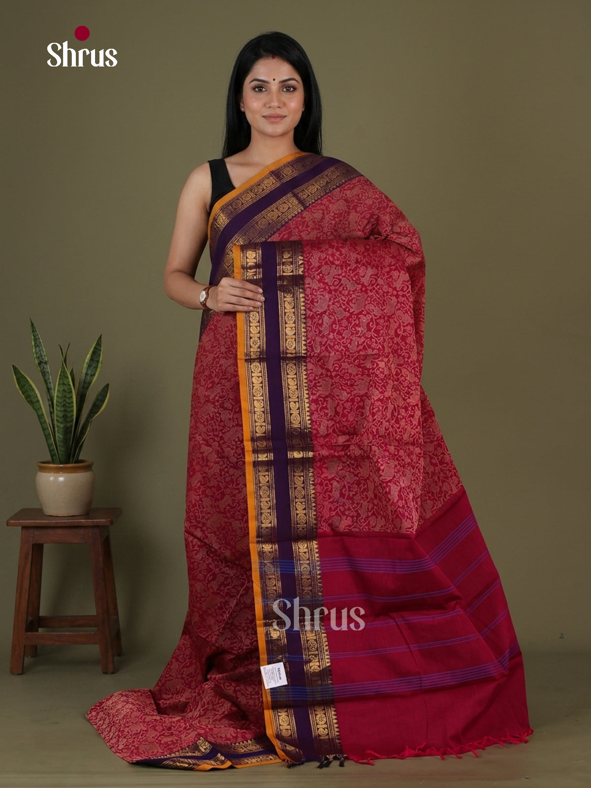 Kanchi Cotton Saree - EGS06019 - Shop on Shrus.com