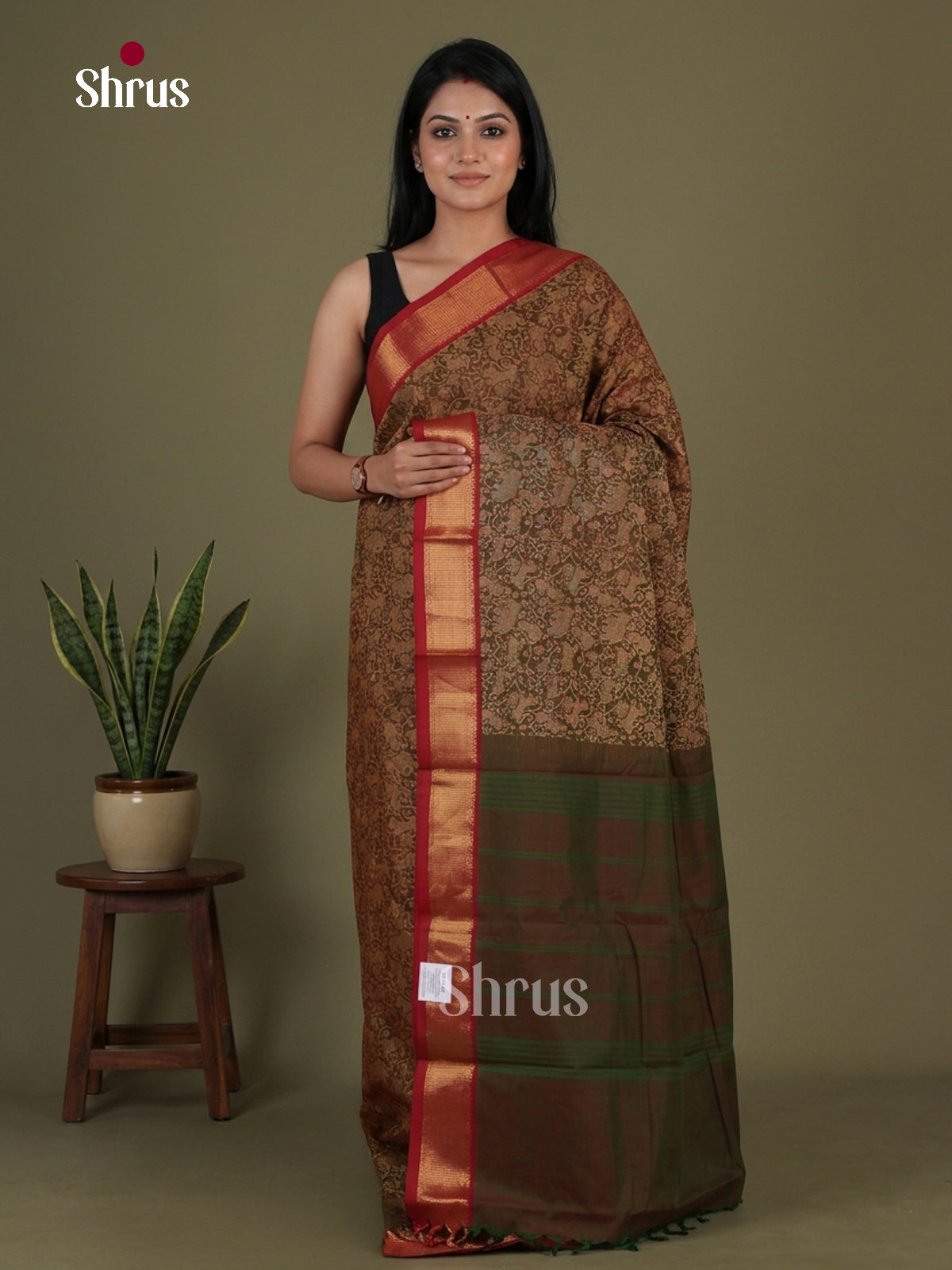 Kanchi Cotton Saree - EGS06024 - Shop on Shrus.com
