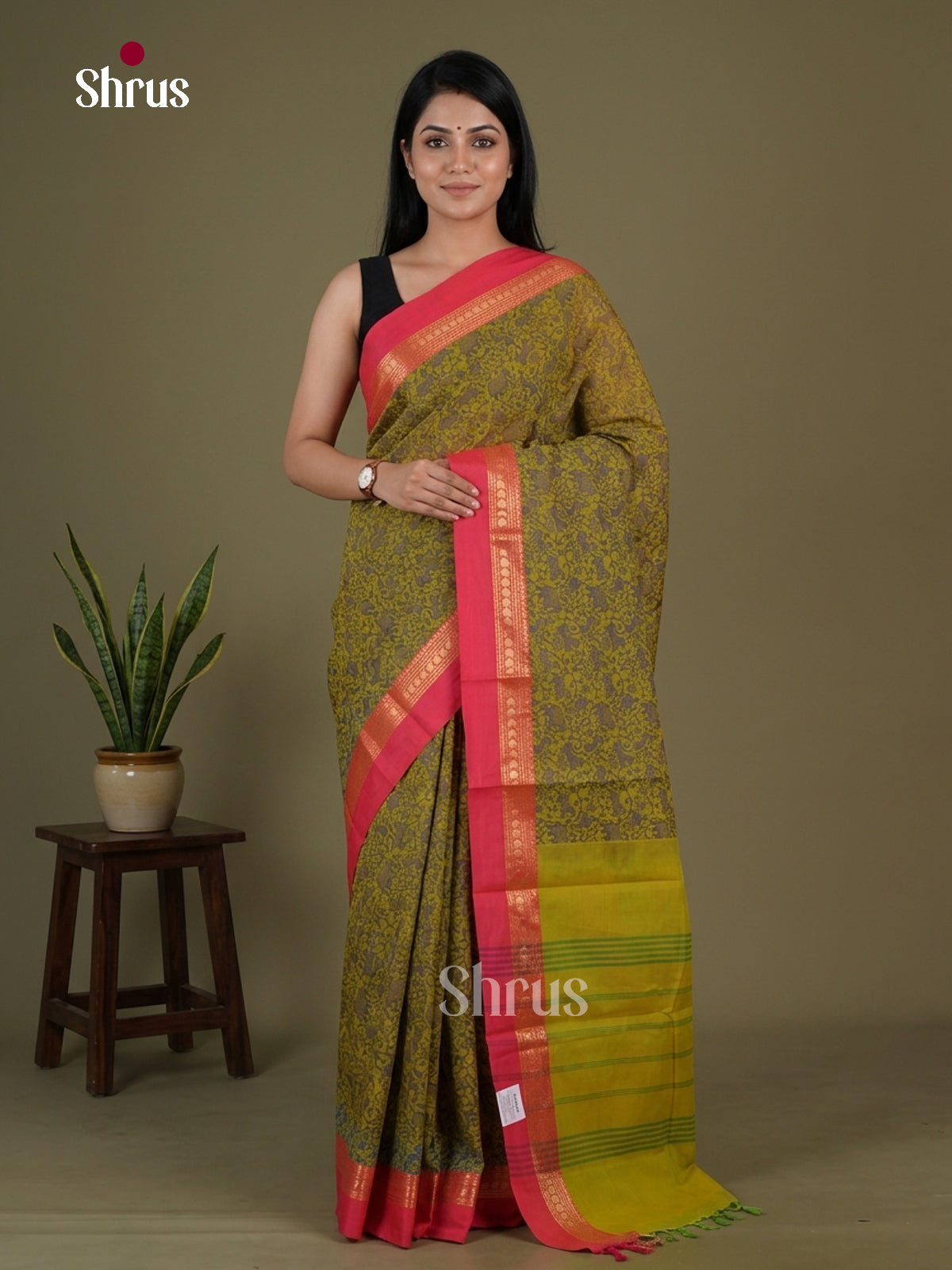Kanchi Cotton Saree - EGS06026 - Shop on Shrus.com