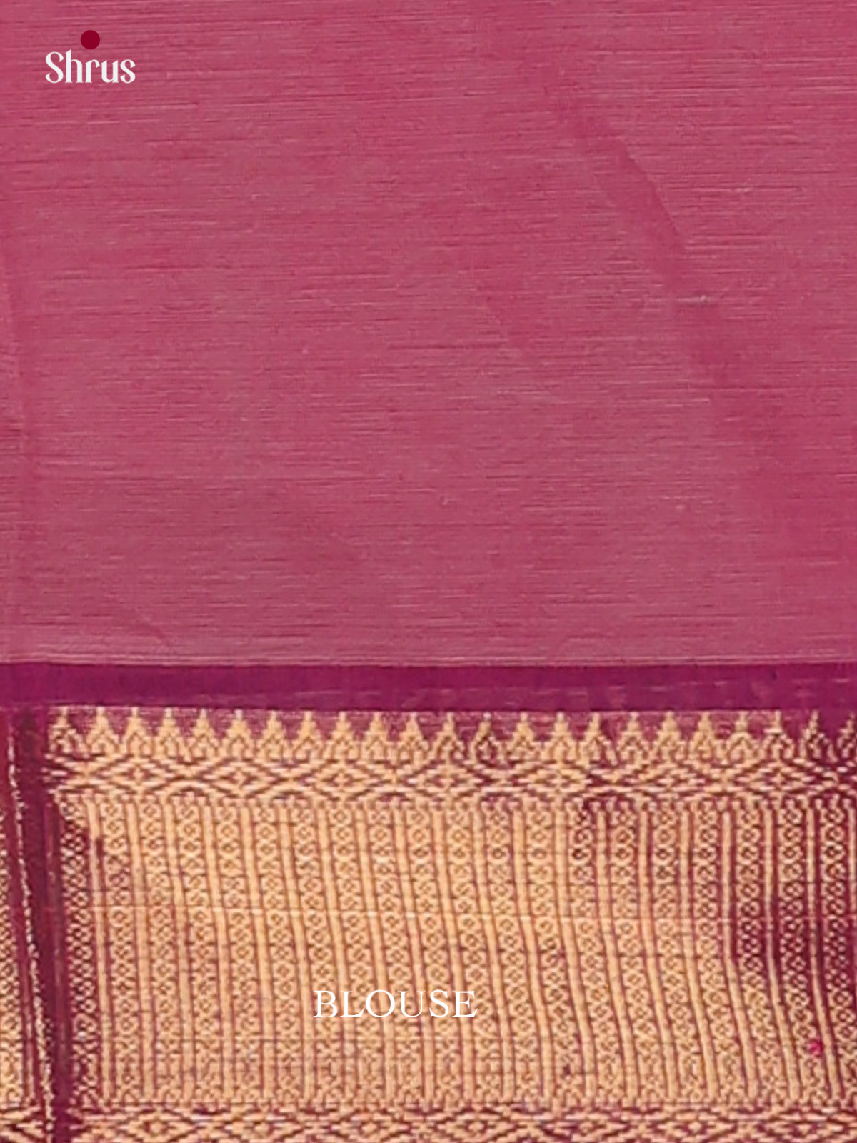 Kanchi Cotton Saree - EGS06028 - Shop on Shrus.com
