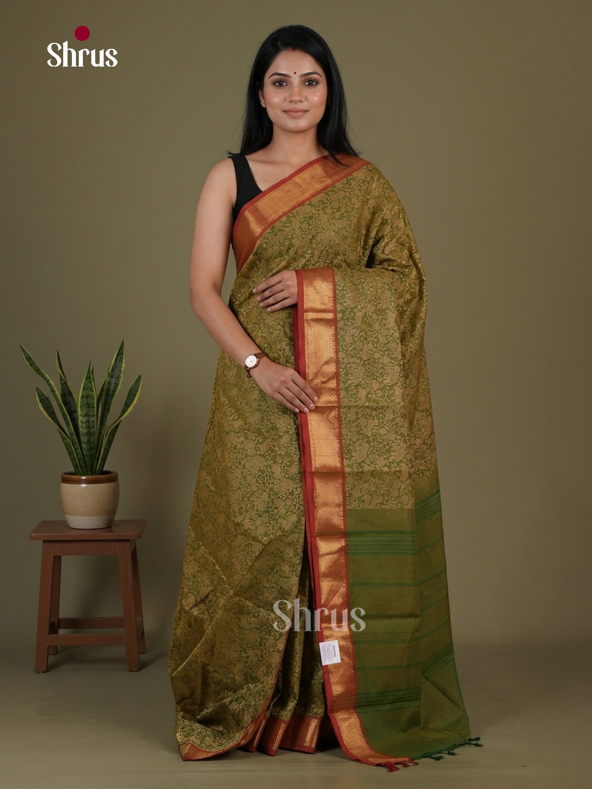Kanchi Cotton Saree - EGS06029 - Shop on Shrus.com