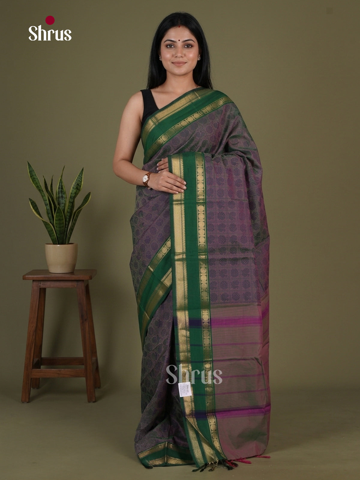 Kanchi Cotton Saree - EGS06030 - Shop on Shrus.com