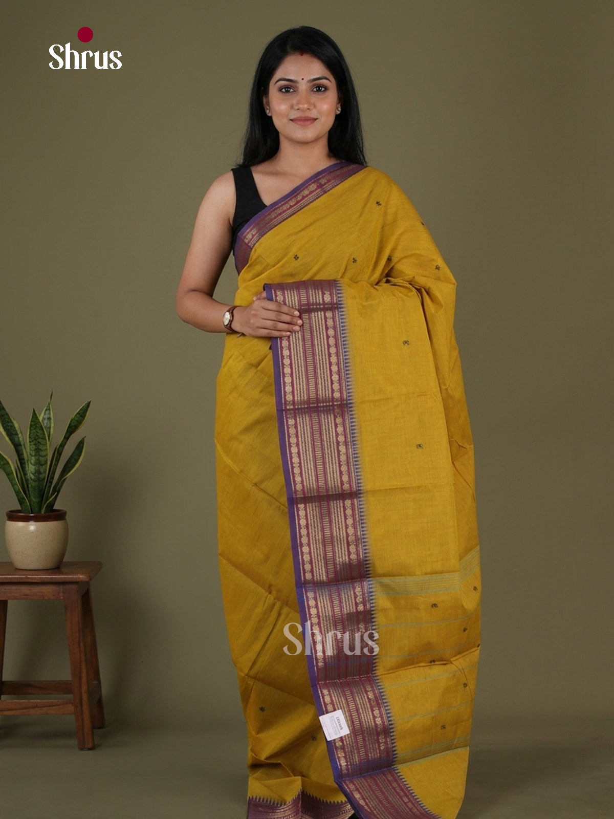 Chettinad Cotton Saree - EGS07024
