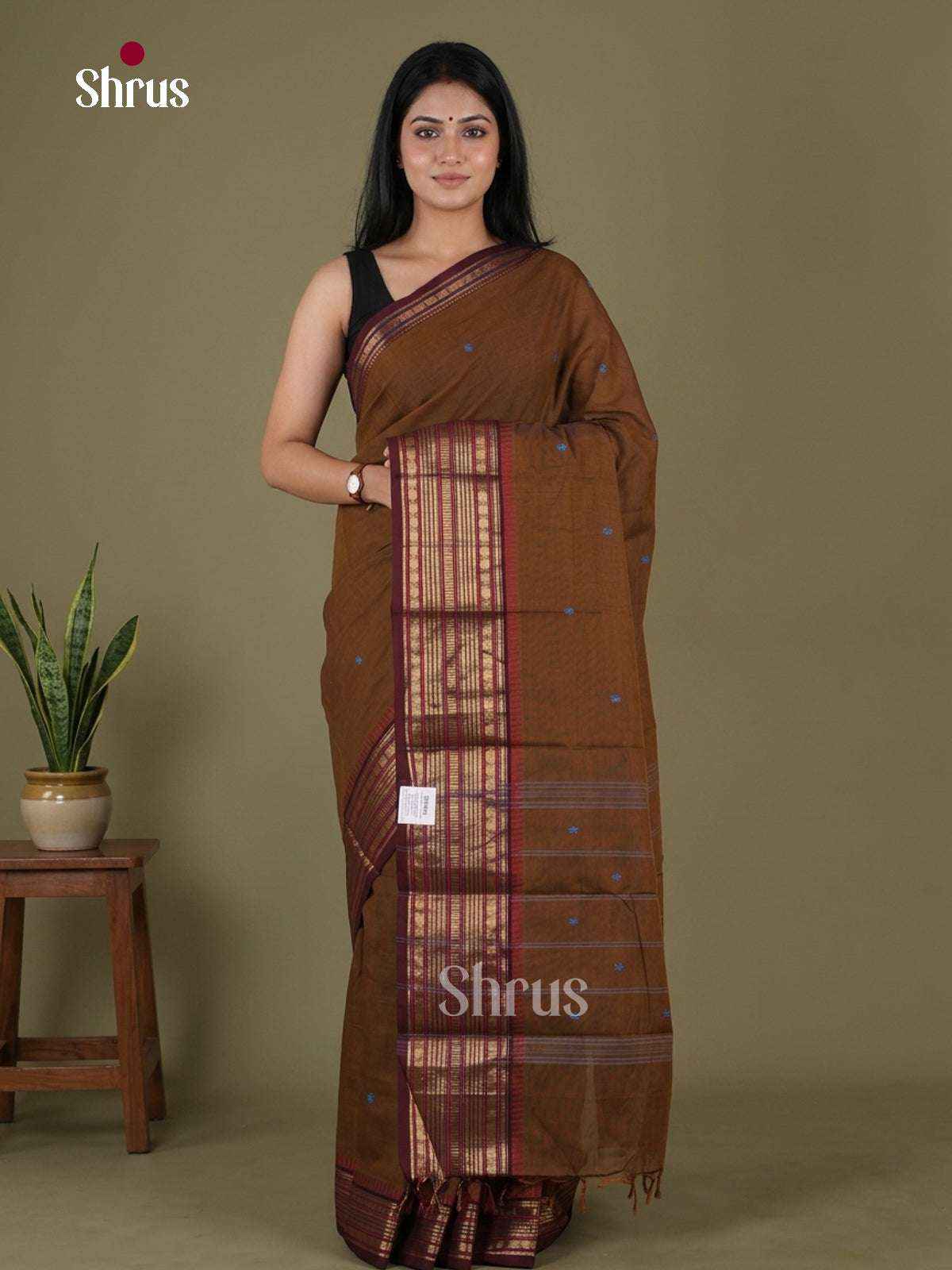 Chettinad Cotton Saree - EGS07025