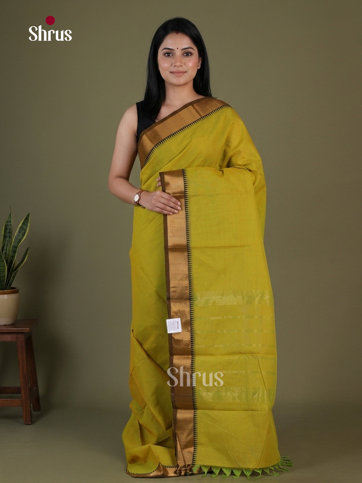 Chettinad Cotton Saree - EGS07032