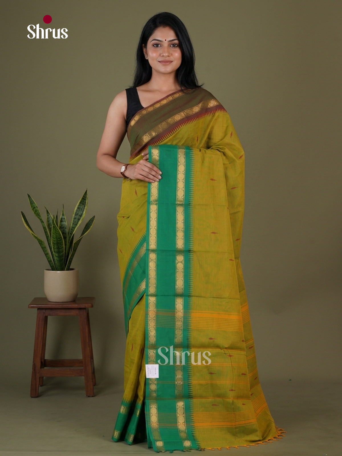 Chettinad Cotton Saree - EGS08005
