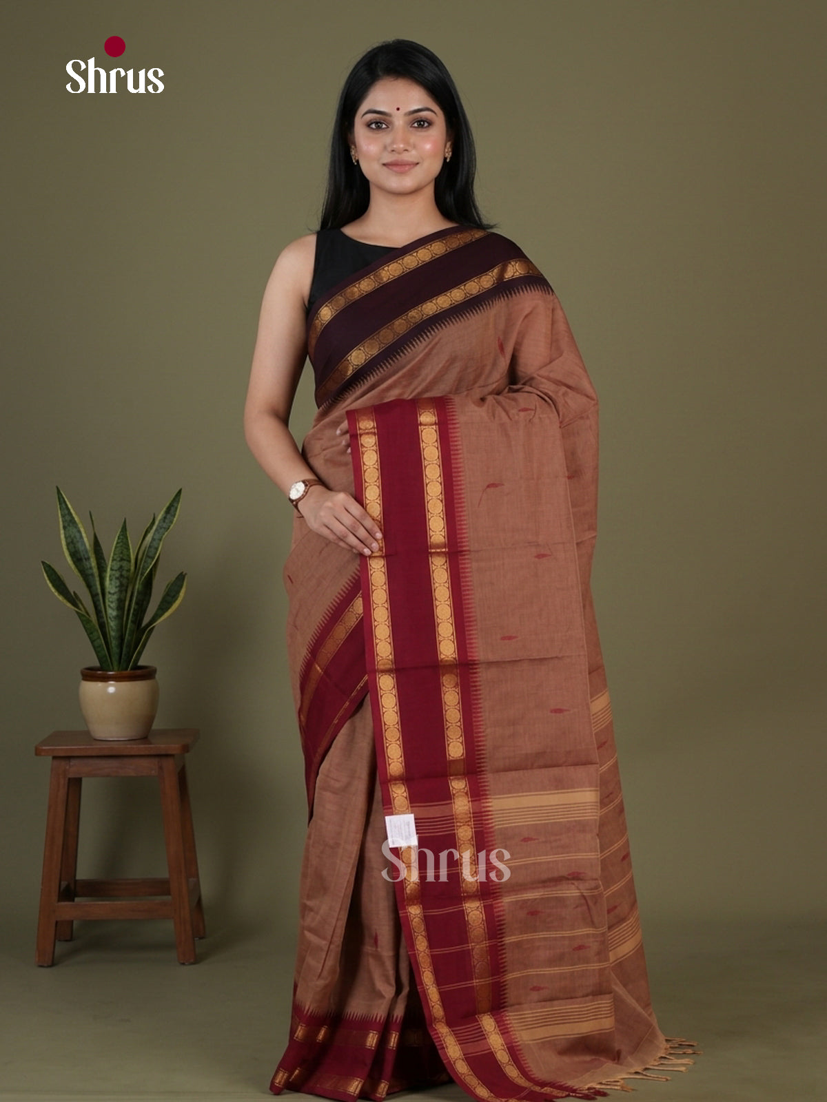 Chettinad Cotton Saree - EGS08006