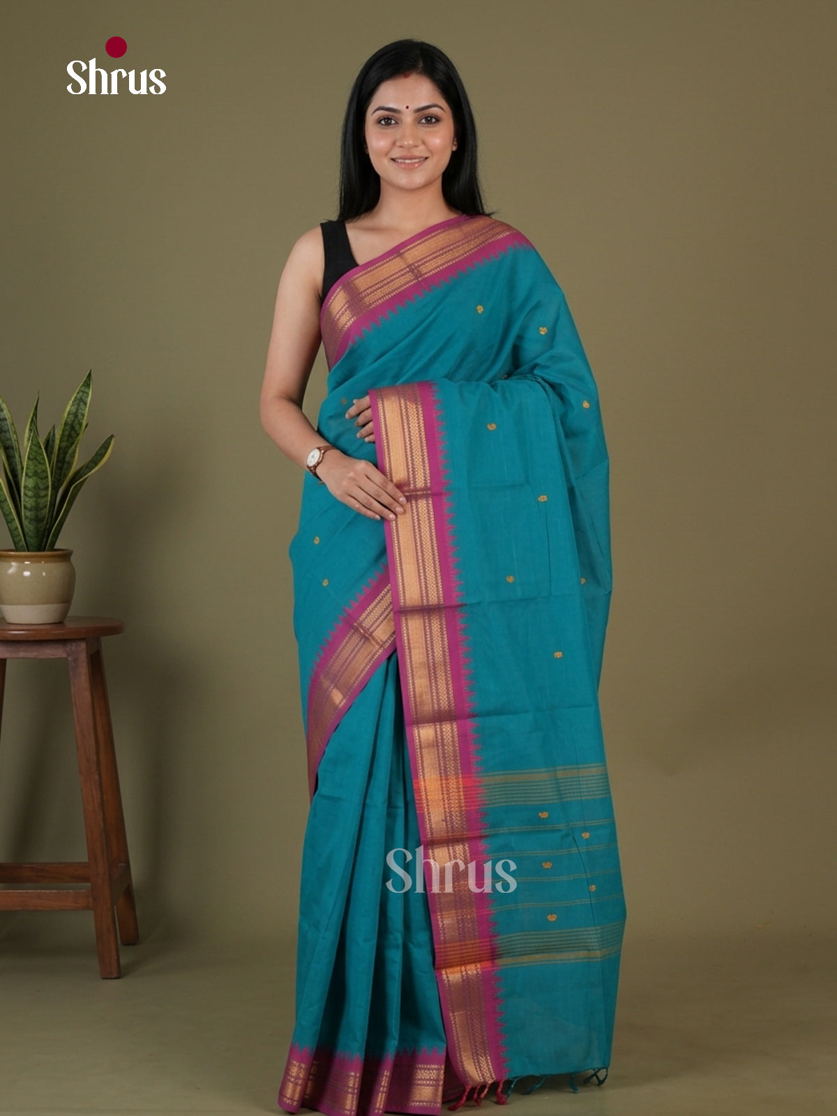 Chettinad Cotton Saree - EGS08007