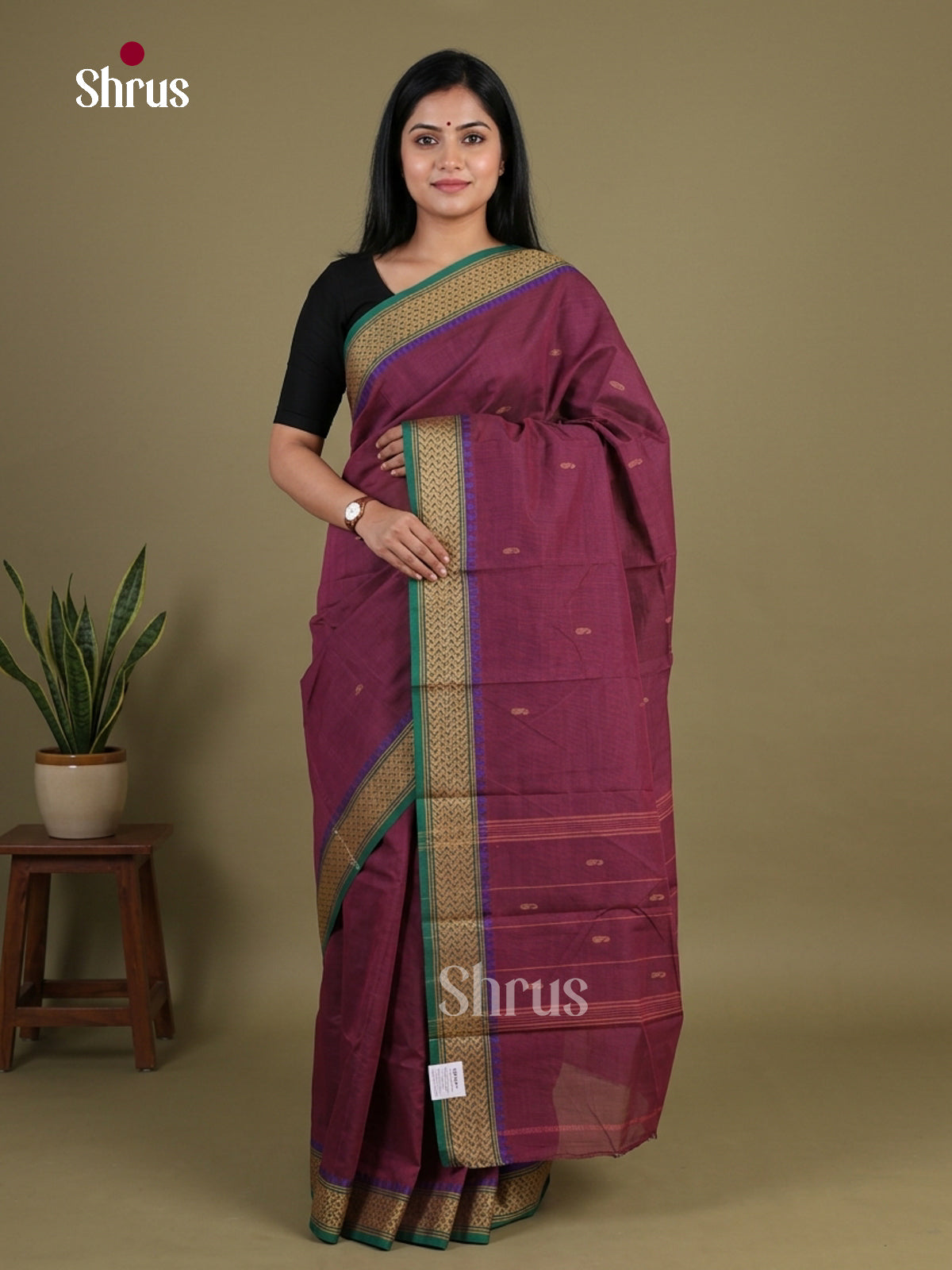 Chettinad Cotton Saree - EGS08016