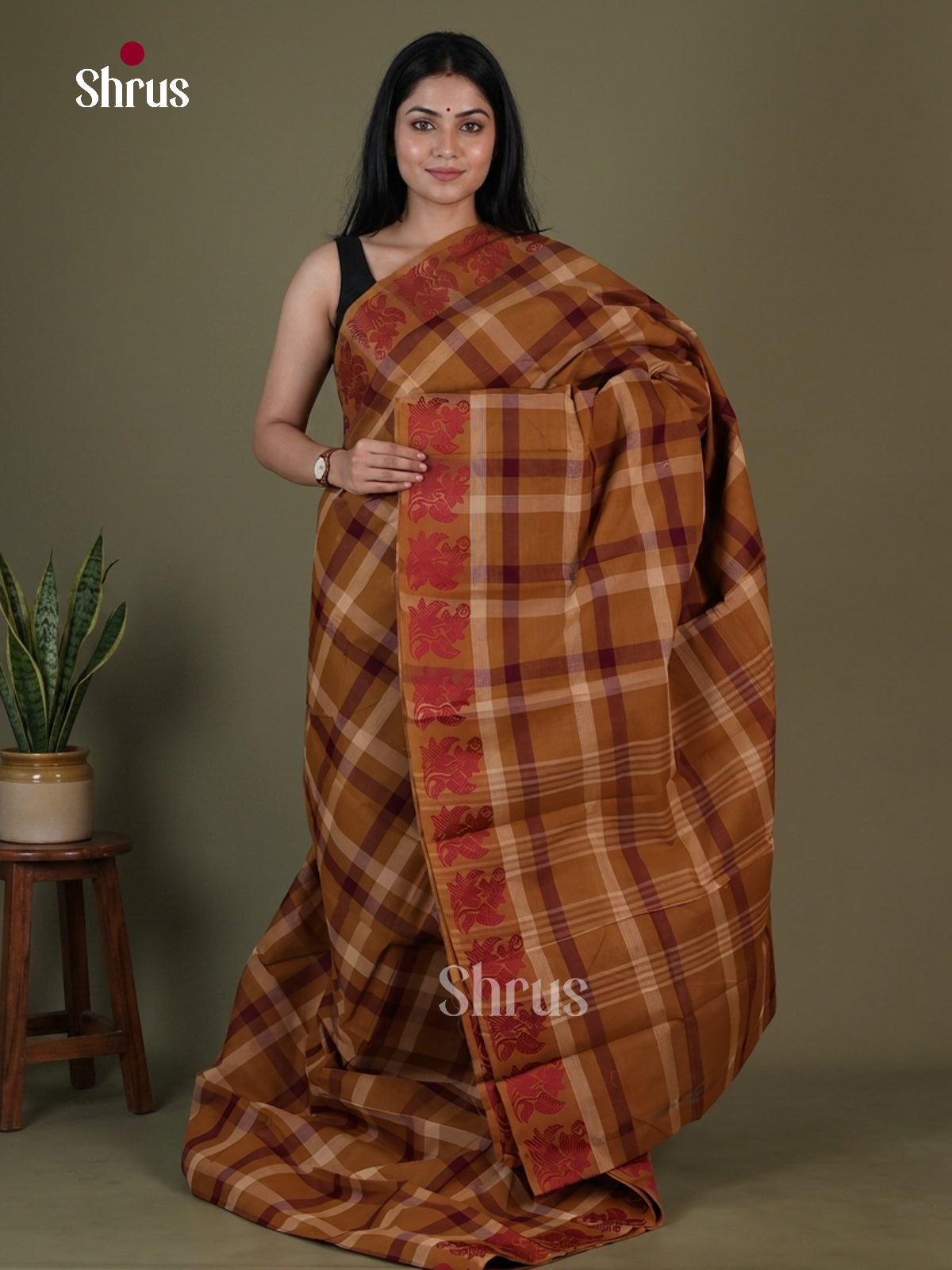 Chettinad Cotton Saree - EGS08019