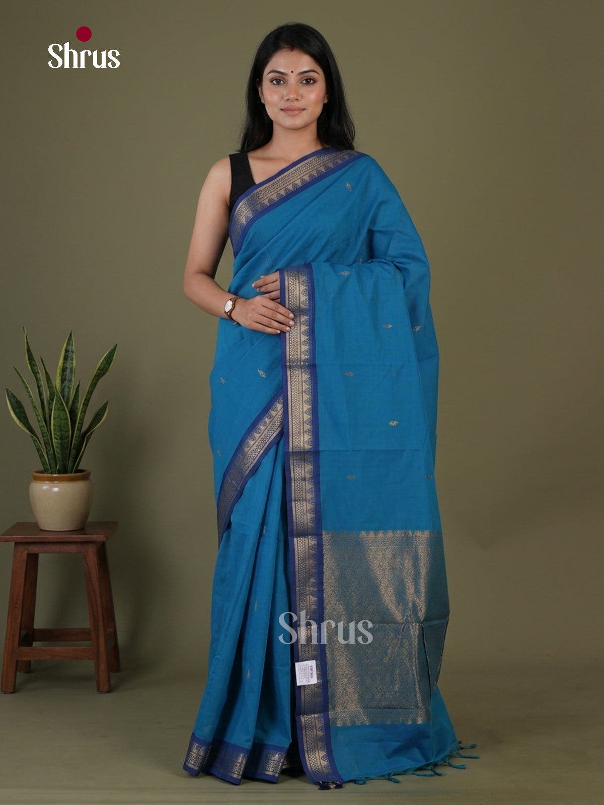 Chettinad Cotton Saree - EGS08036