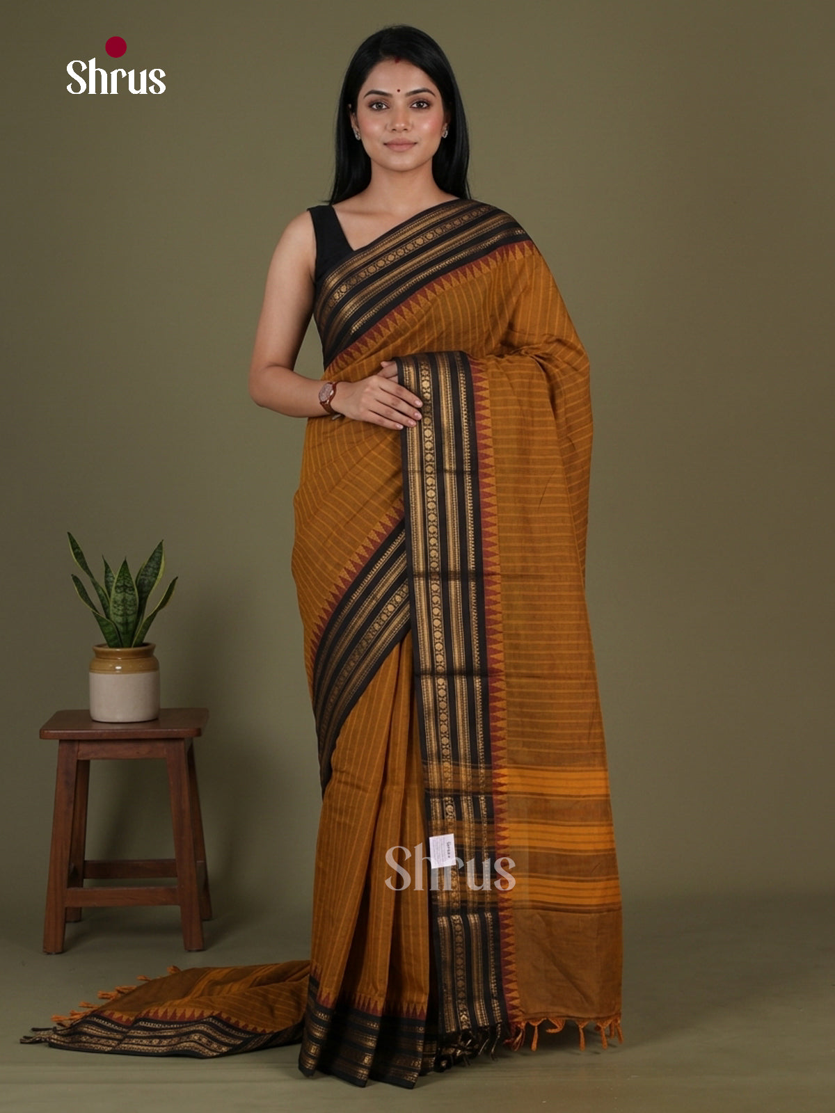 Chettinad Cotton Saree - EGS08040