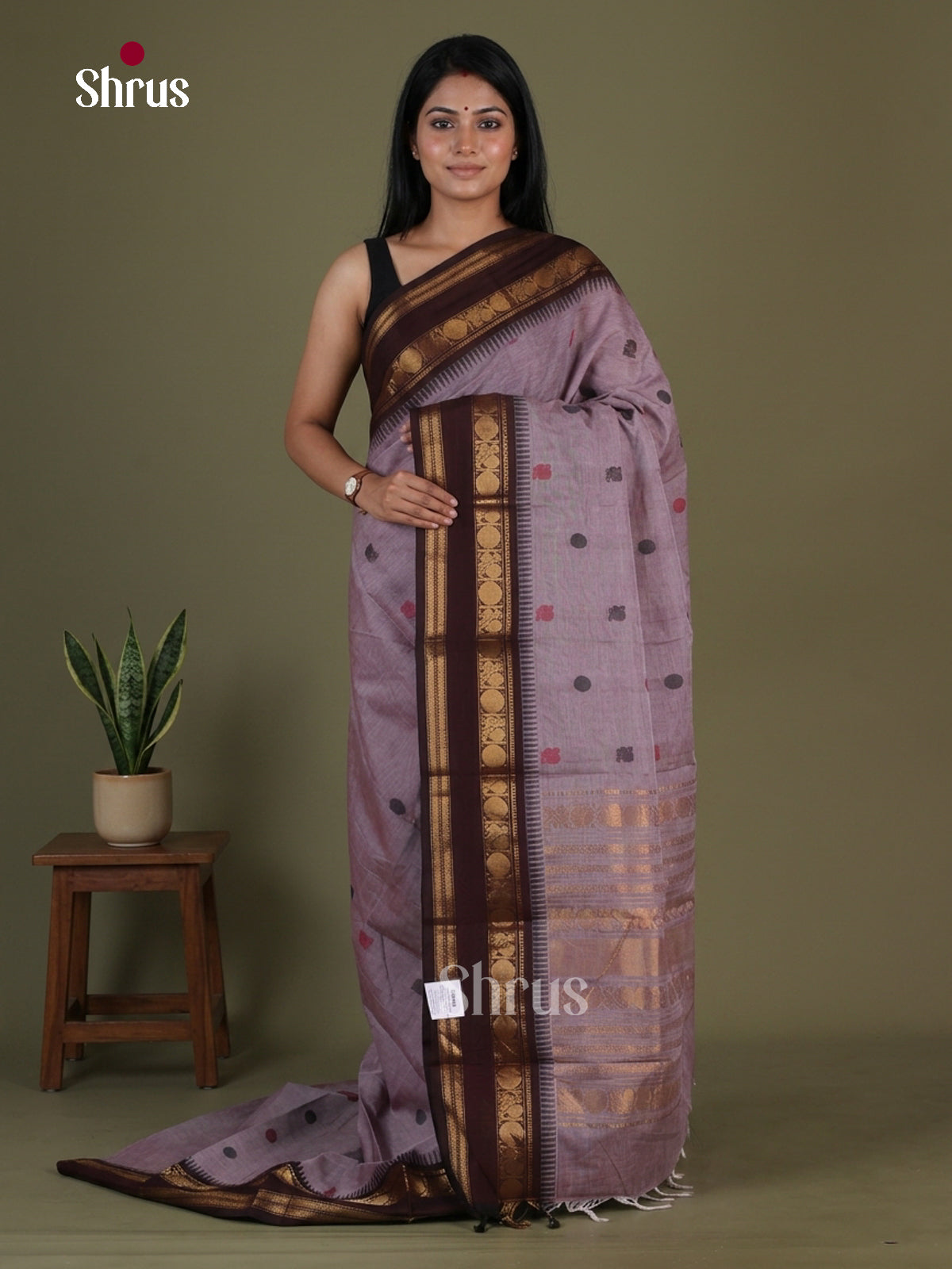 Chettinad Cotton Saree - EGS09002 - Shop on Shrus.com