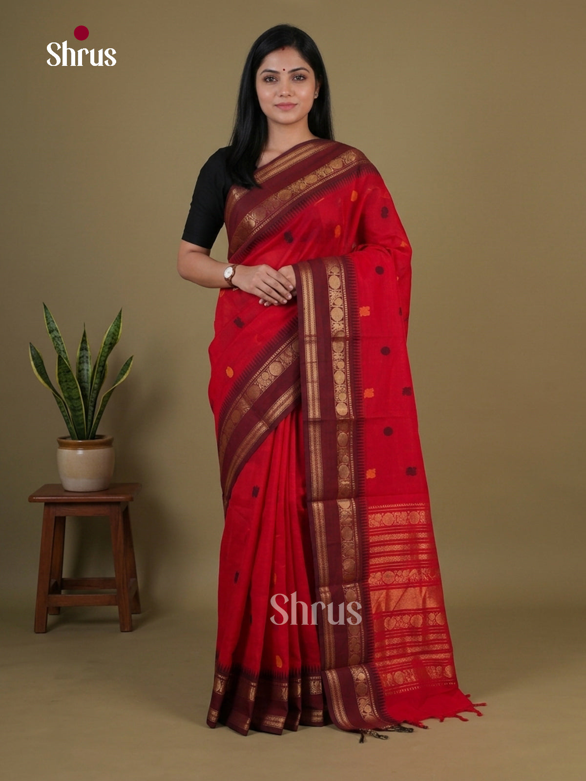 Chettinad Cotton Saree - EGS09003