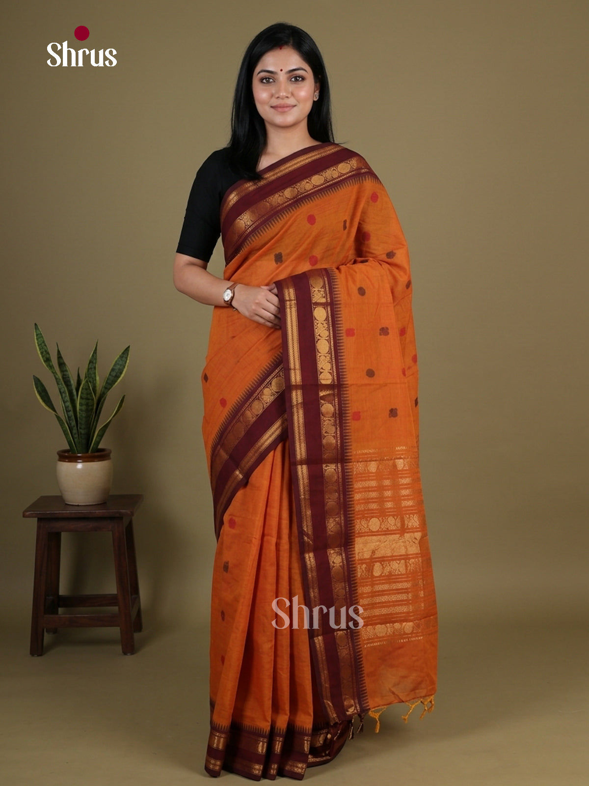 Chettinad Cotton Saree - EGS09004