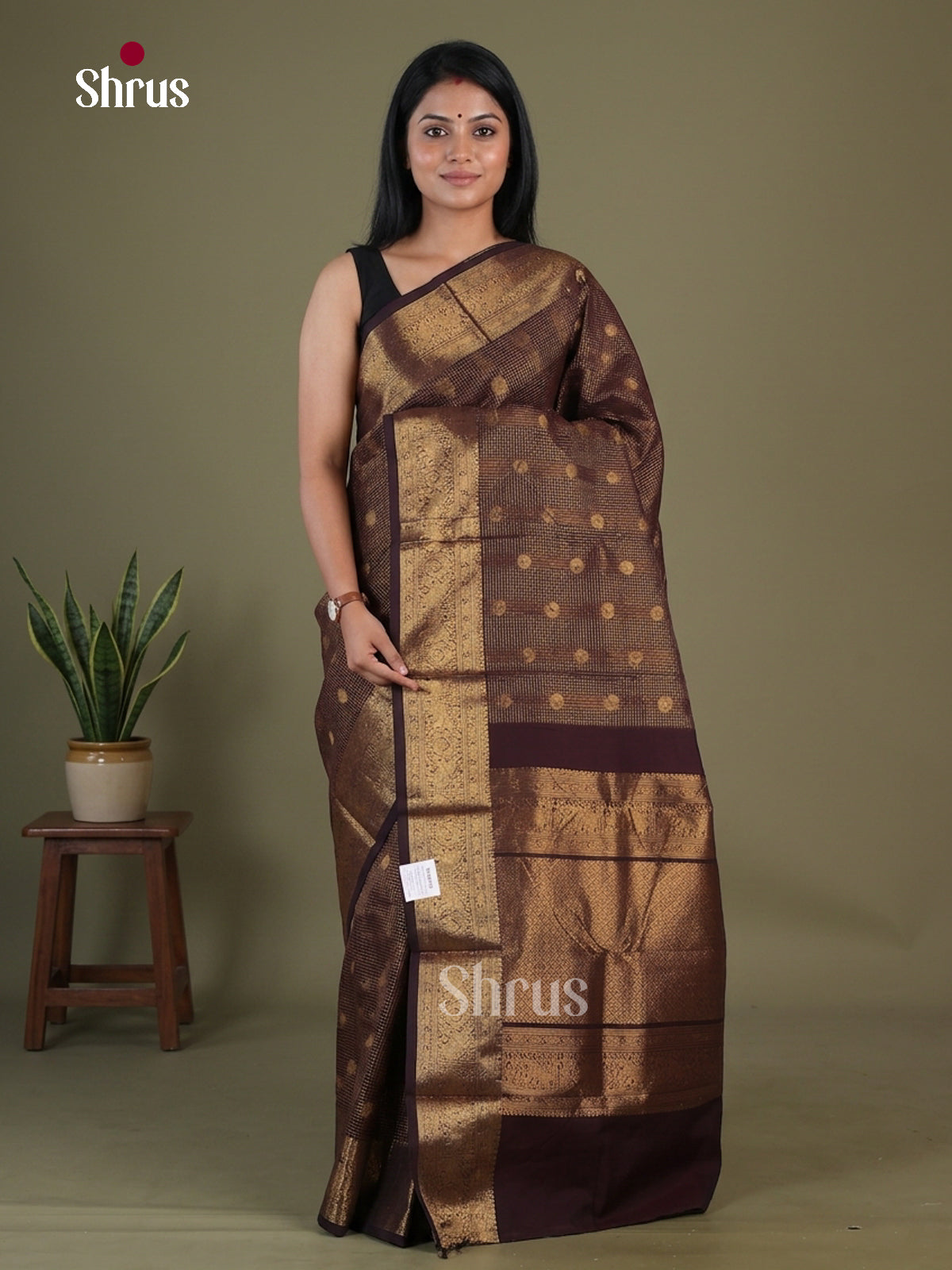 Chettinad Cotton Saree - EGS09007