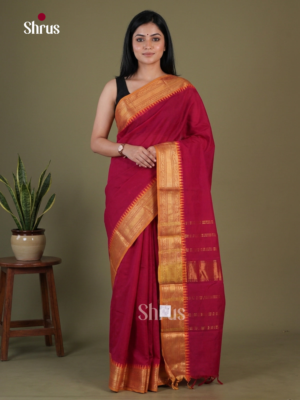 Chettinad Cotton Saree - EGS09019 - Shop on Shrus.com
