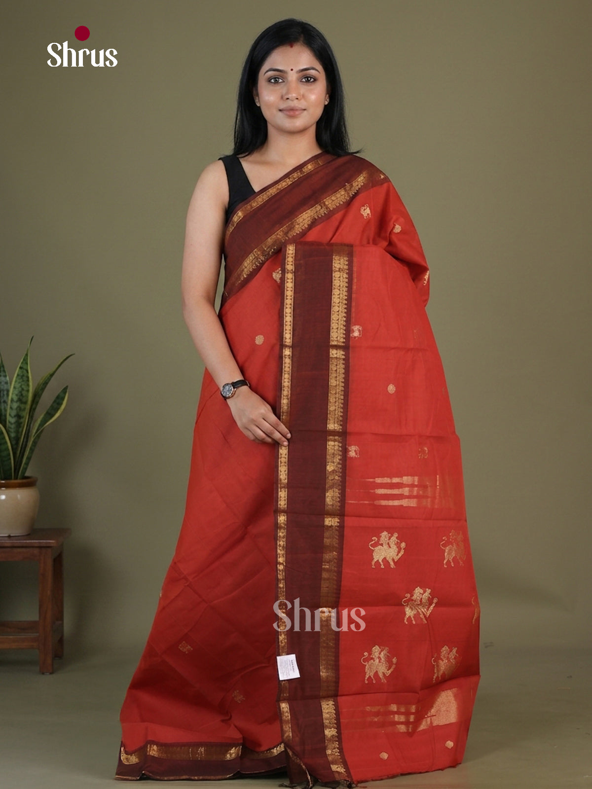 Chettinad Cotton Saree - EGS09057