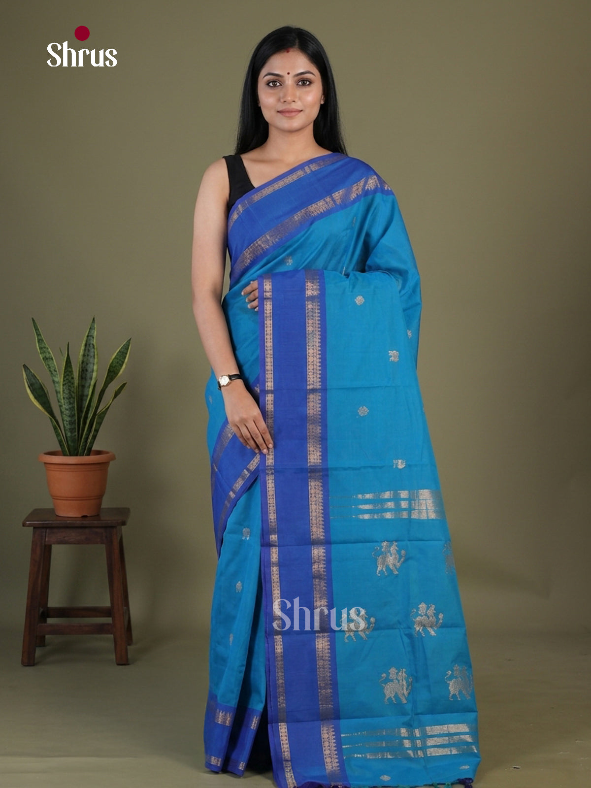 Chettinad Cotton Saree - EGS09060