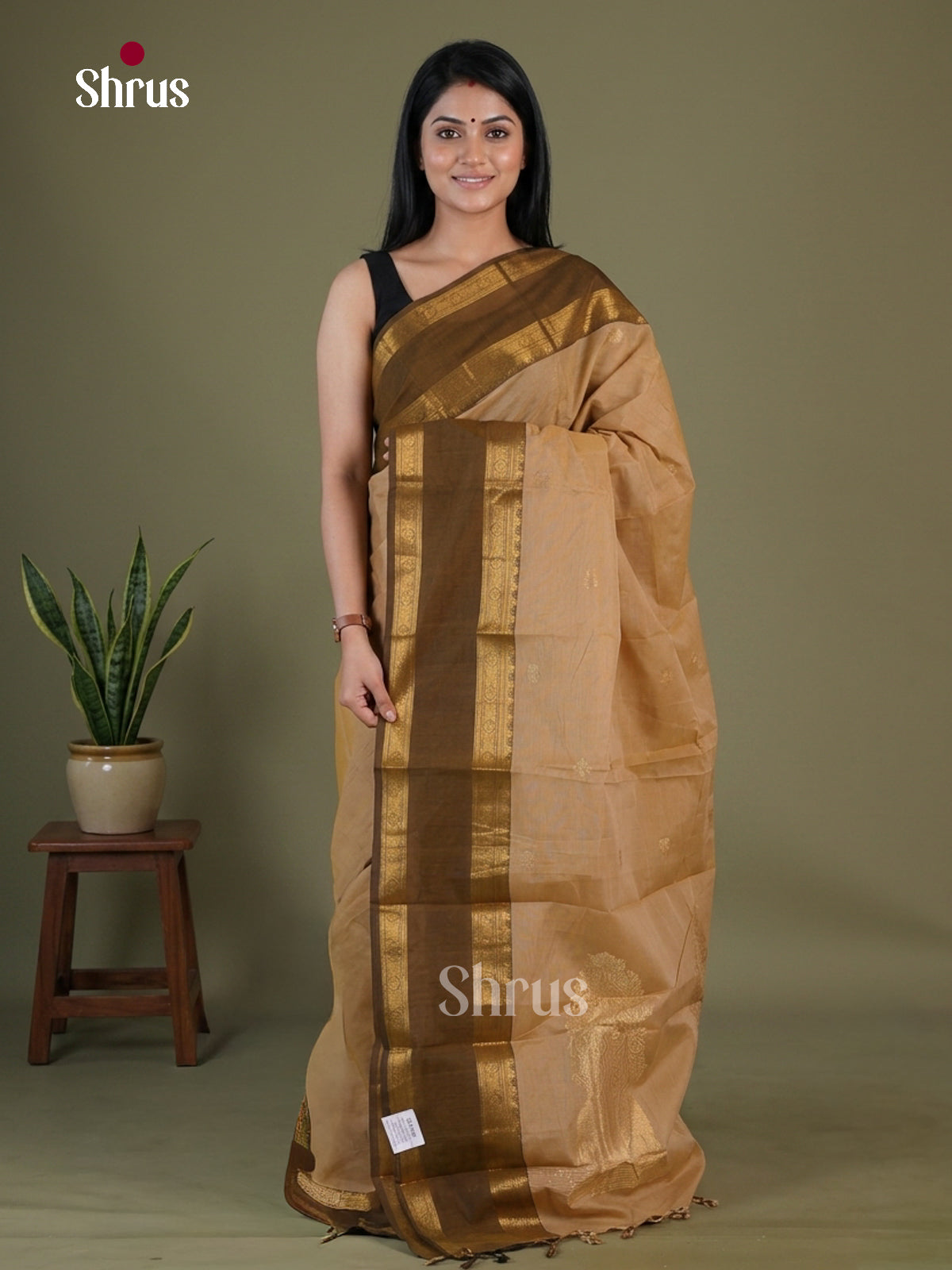Chettinad Cotton Saree - EGS09061