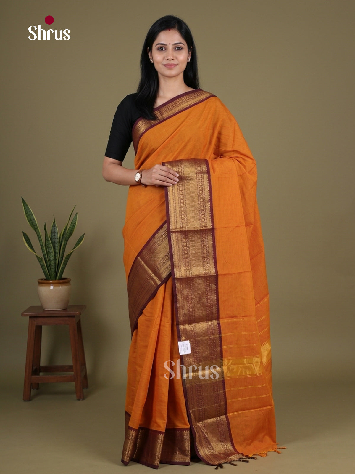 Chettinad Cotton Saree - EGS09067
