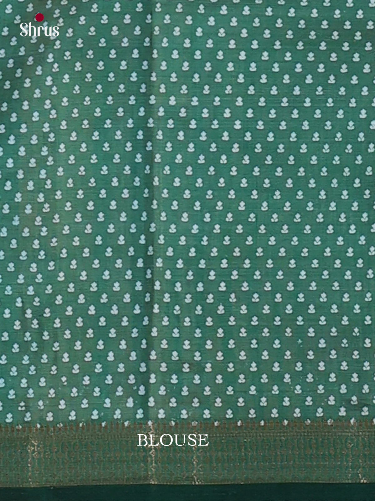 Semi Rawsilk Saree - EGS10003