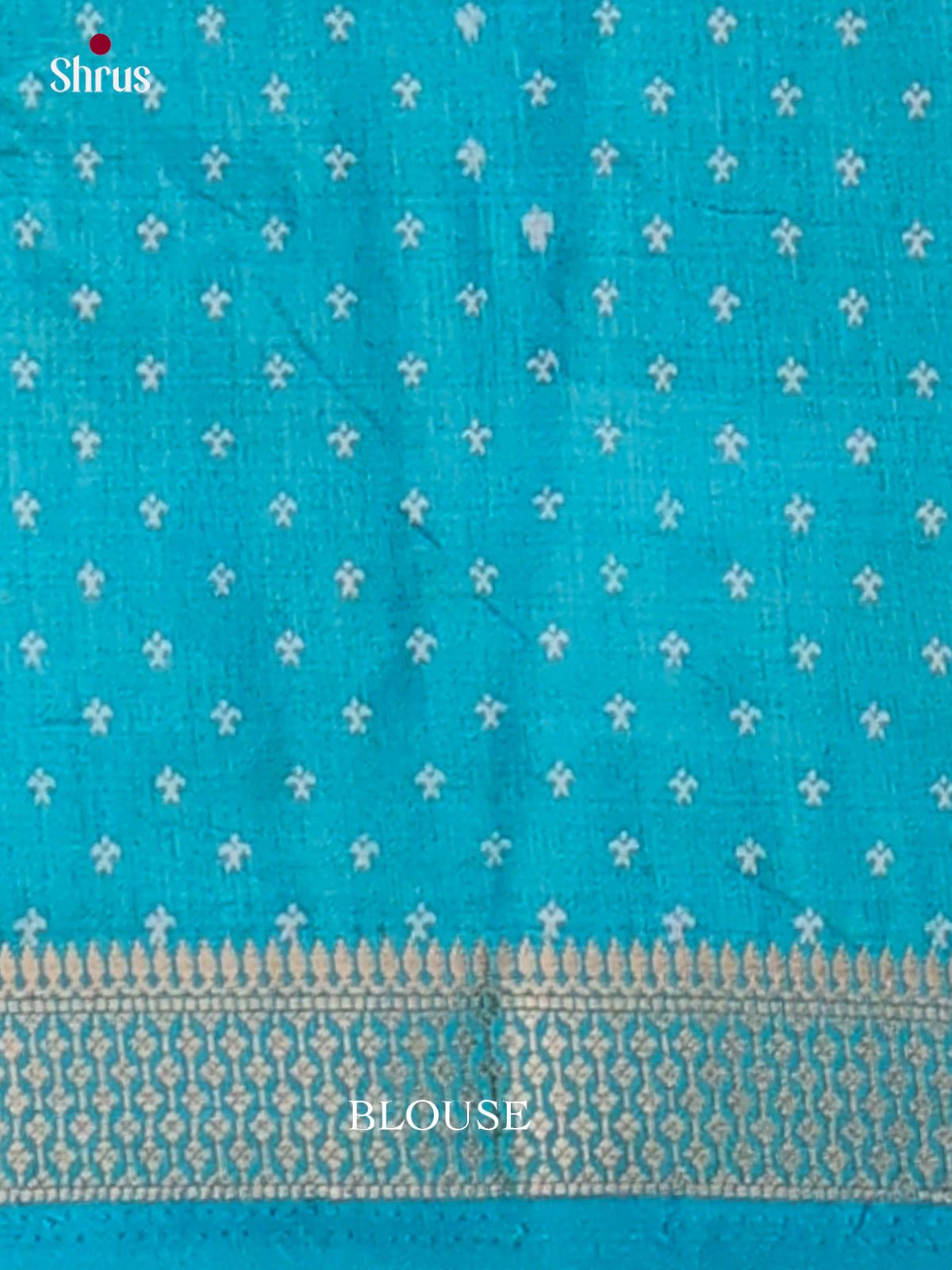 Semi Rawsilk Saree - EGS10014