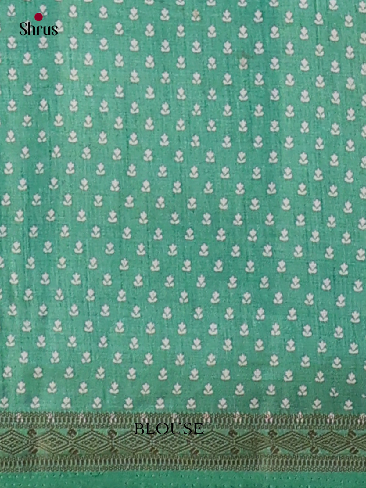 Semi Rawsilk Saree - EGS10115 - Shop on Shrus.com